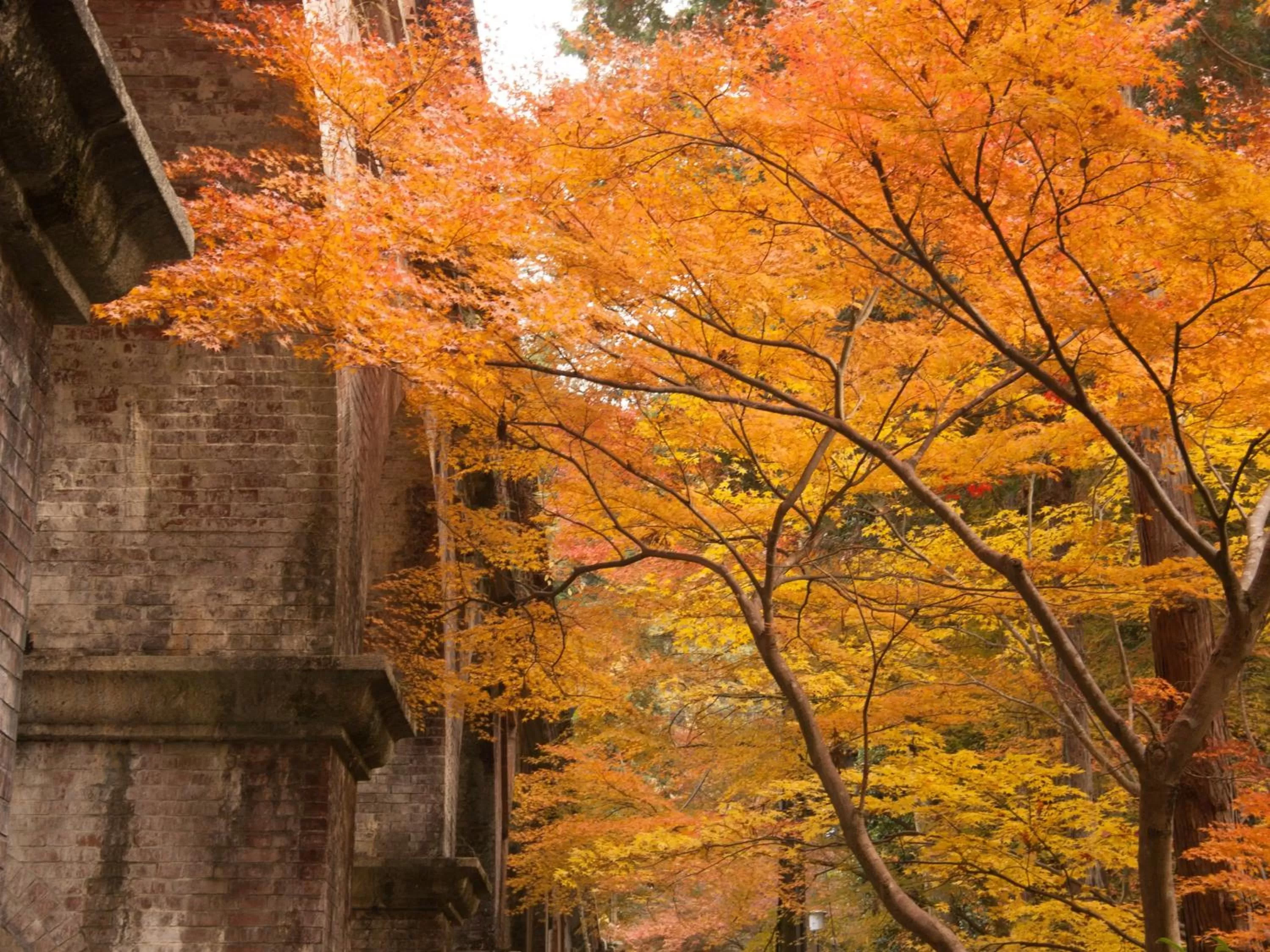 Nearby landmark in Hotel Wing International Kyoto - Shijo Karasuma