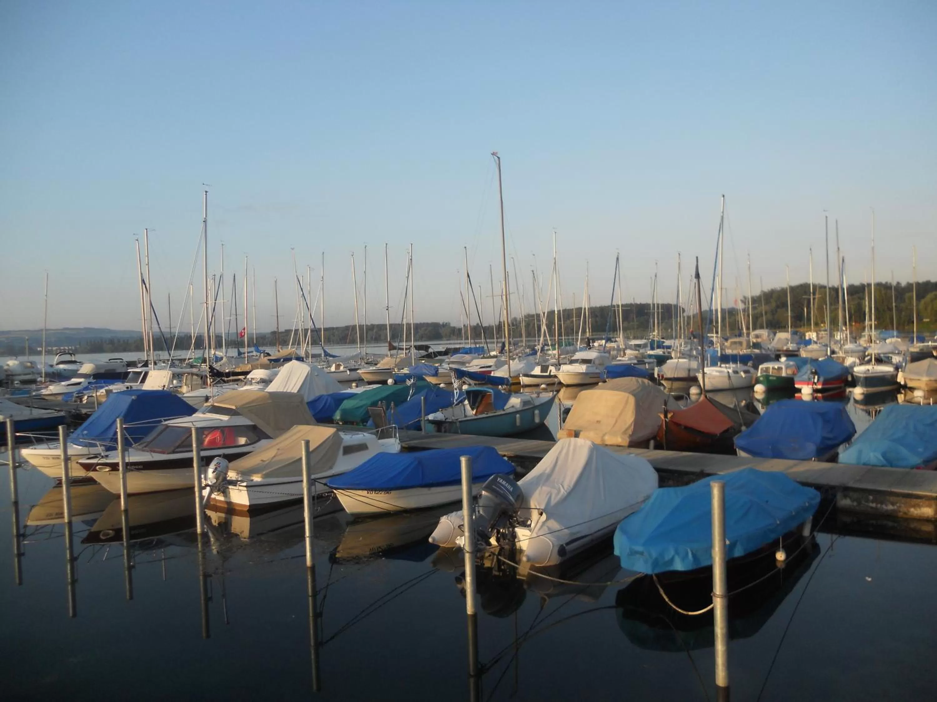 Summer in BNB Tuileries