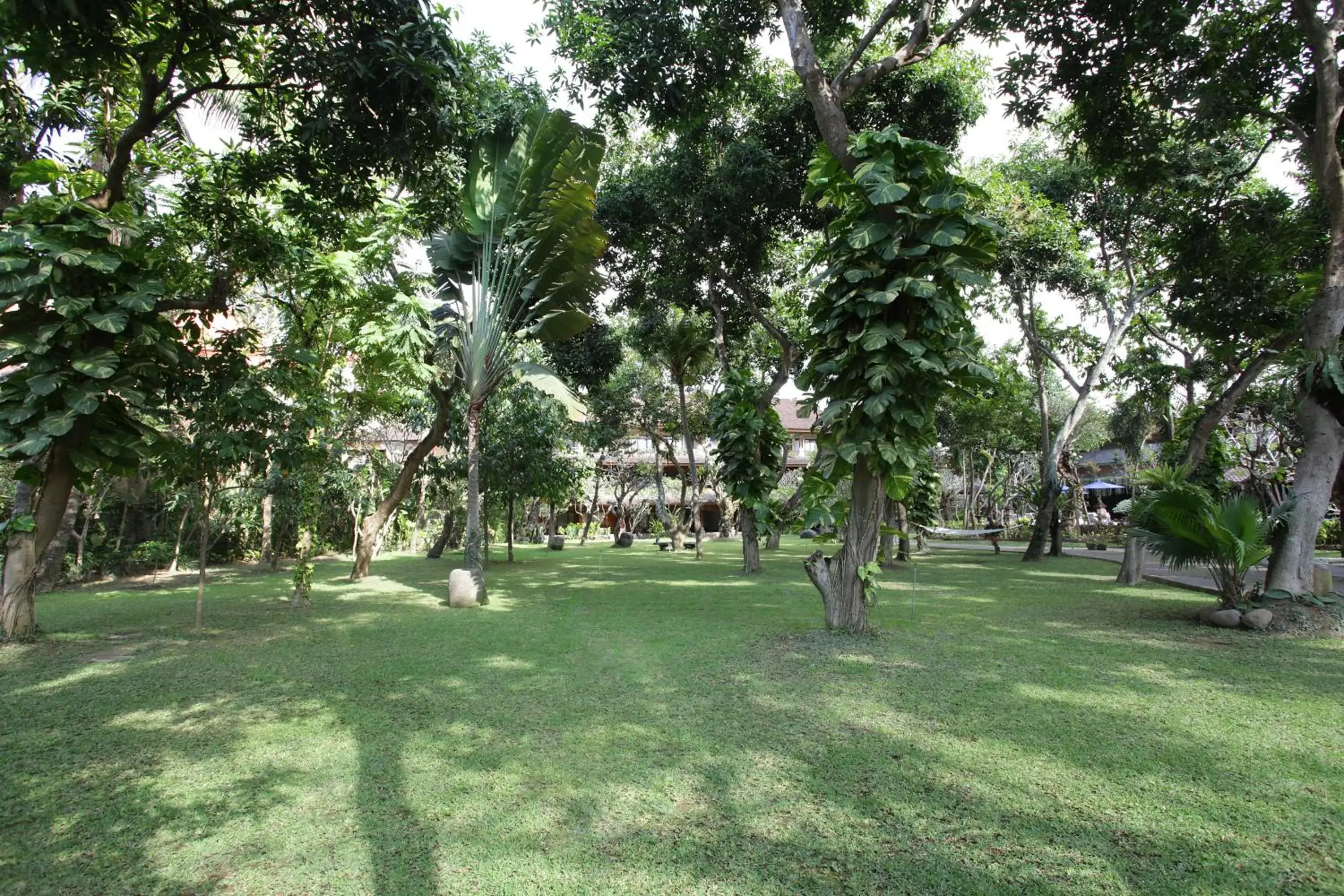 Garden in Matahari Bungalow Hotel