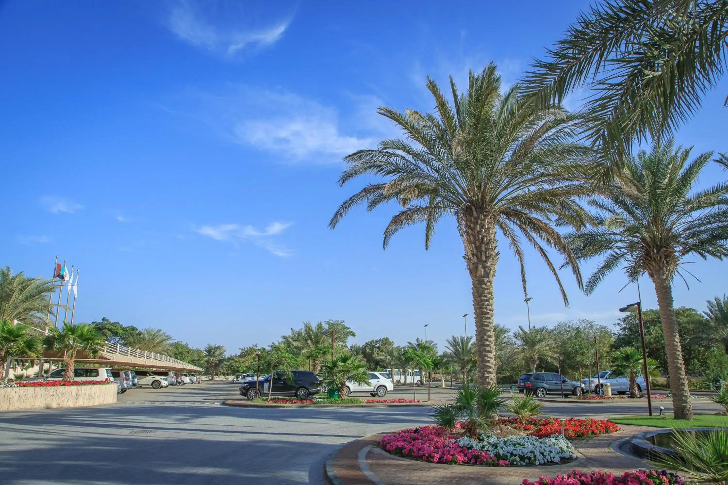 View (from property/room) in Danat Jebel Dhanna Resort View (from property/room) in Danat Jebel Dhanna Resort