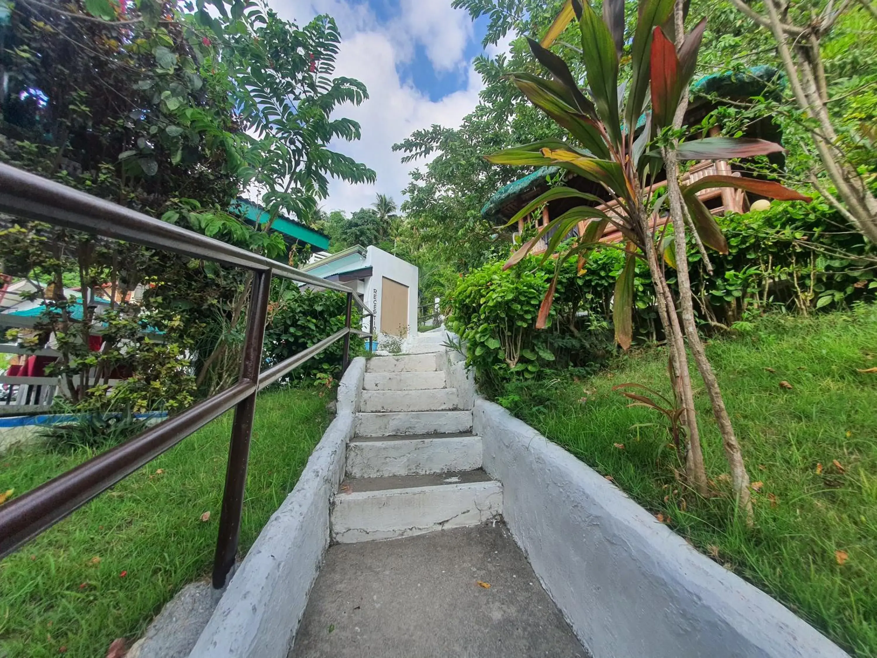 Garden in Bellevue Resort