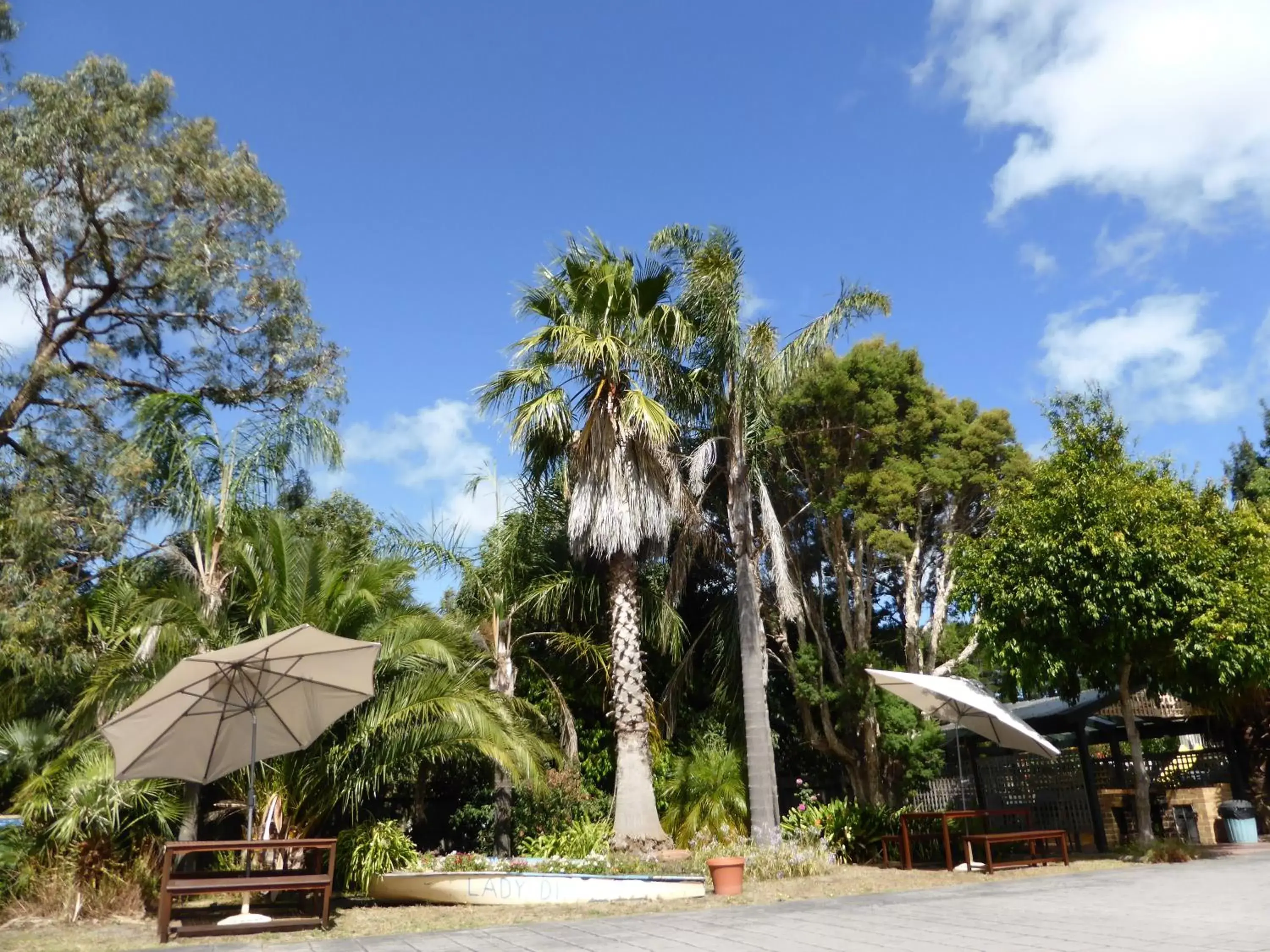 Garden in The Balnarring Motel