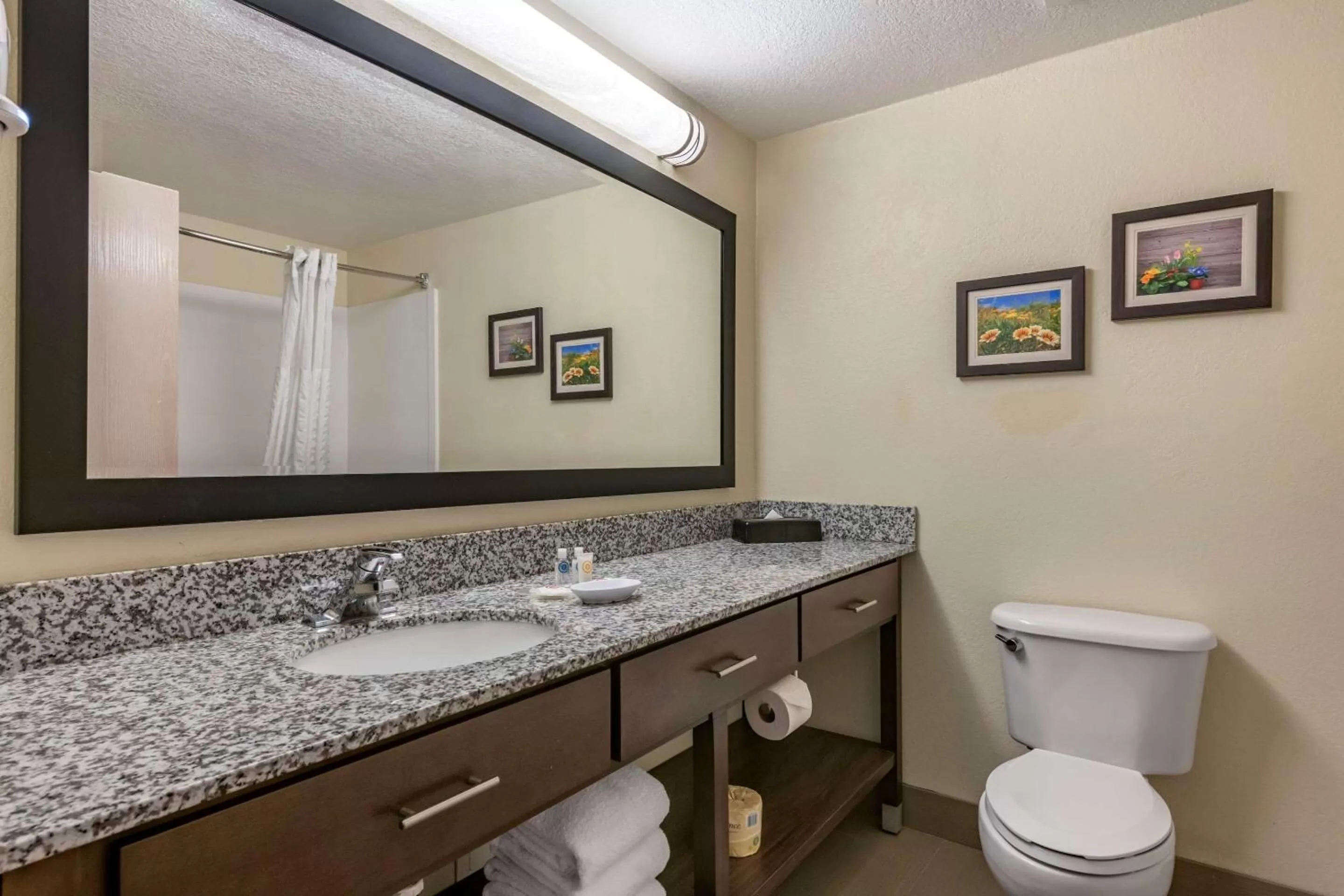 King Suite in Comfort Suites Maingate East