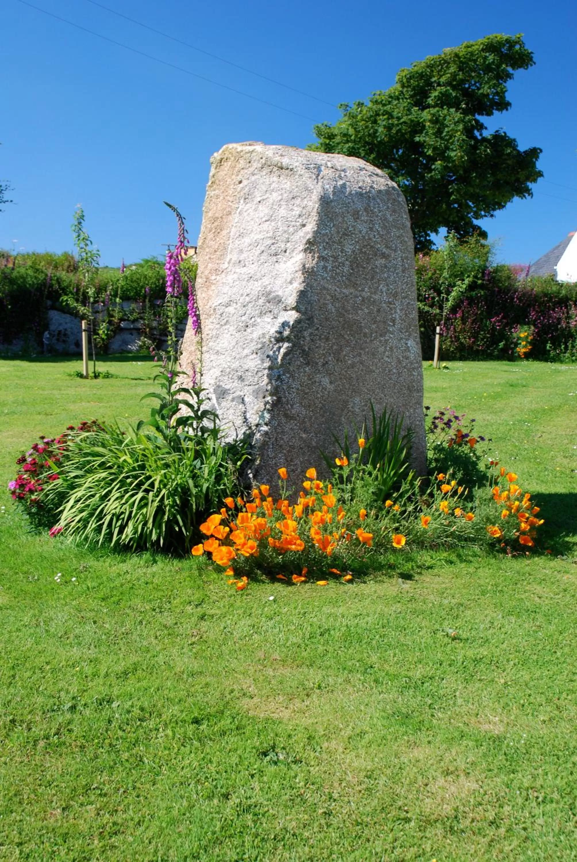 Facade/entrance, Garden in Fig Tree House