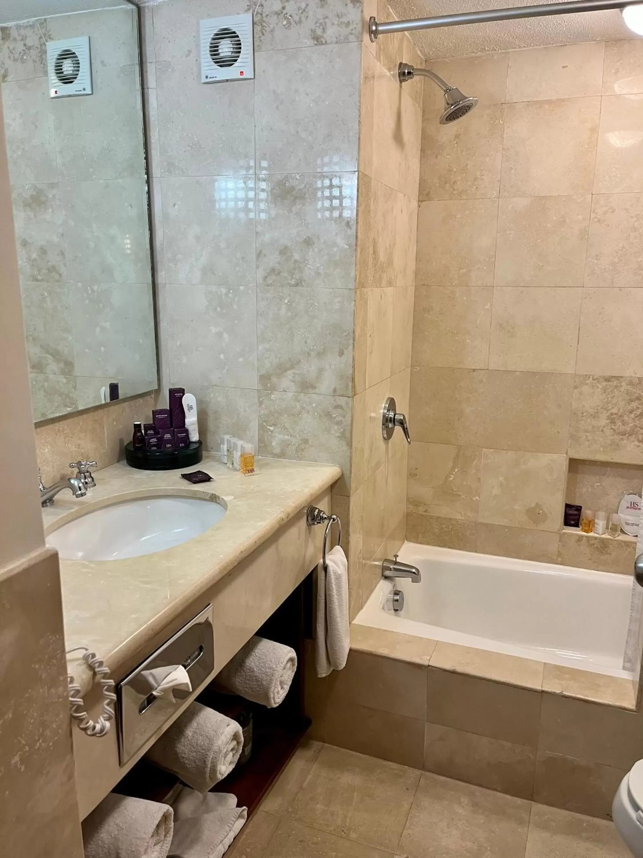 Bathroom in HS HOTSSON Hotel Tampico