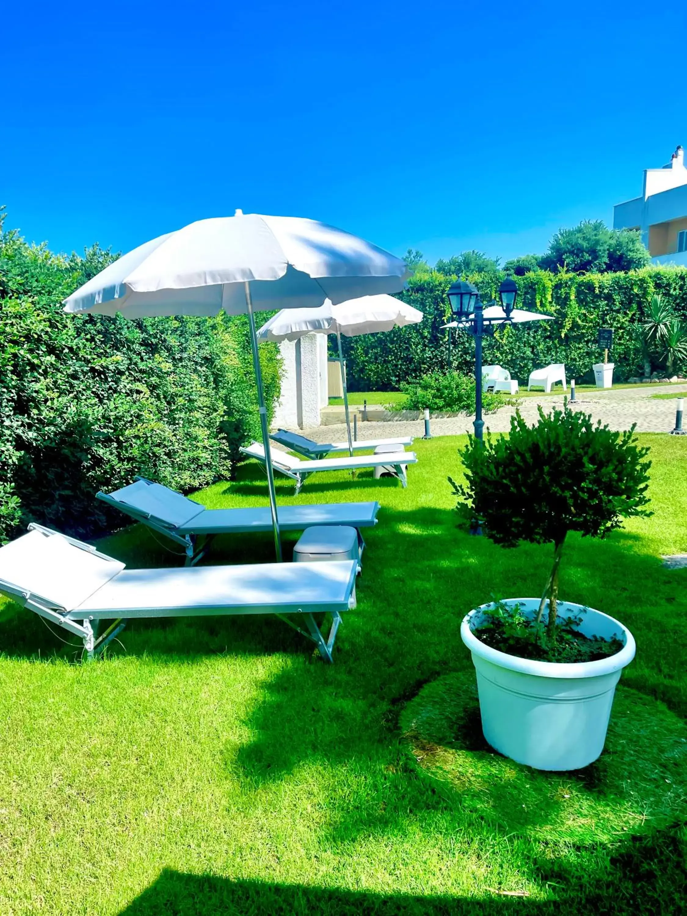 sunbed, Garden in Villa Pignatelli