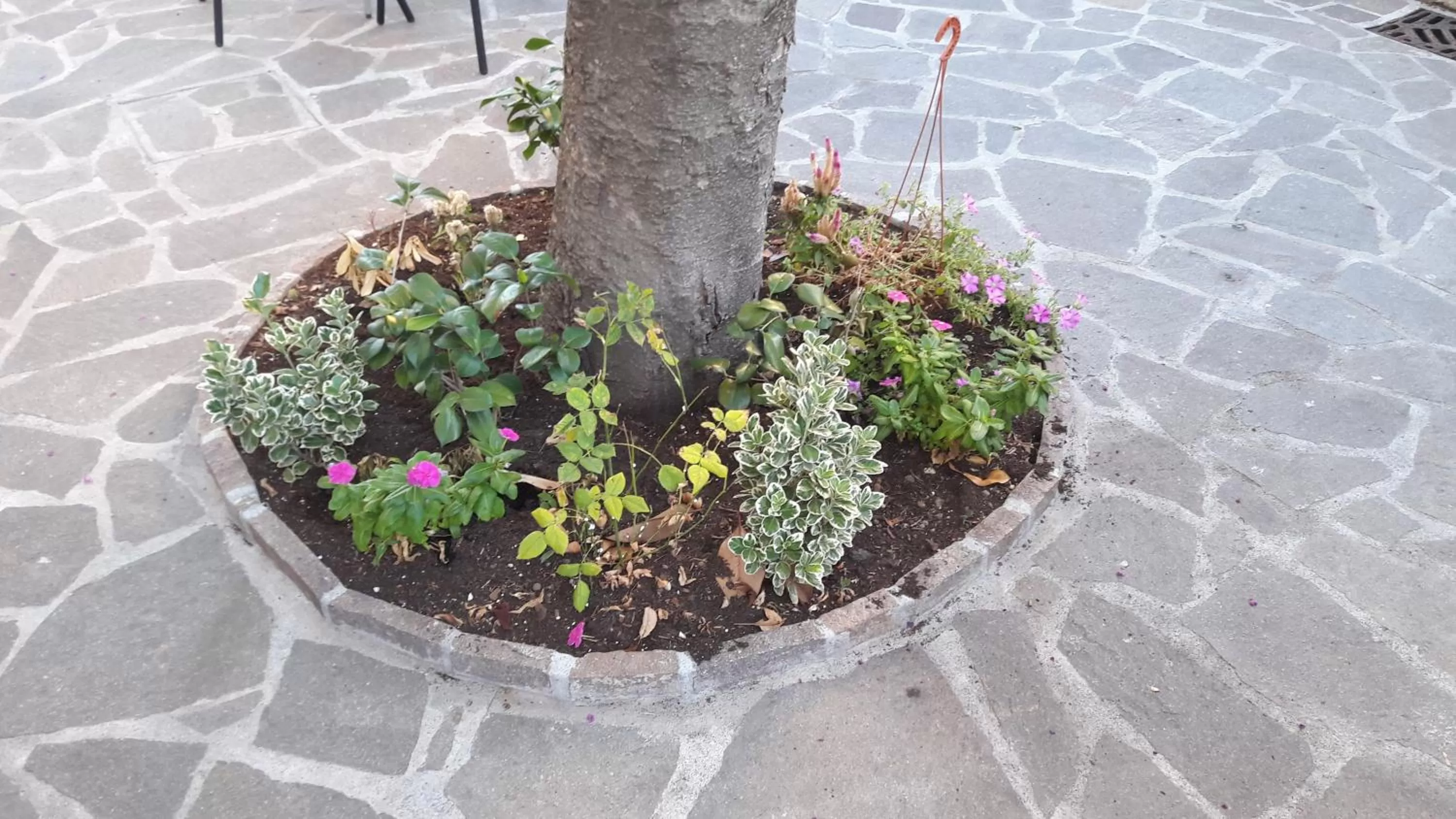 Property building in Florence Stadium B&B