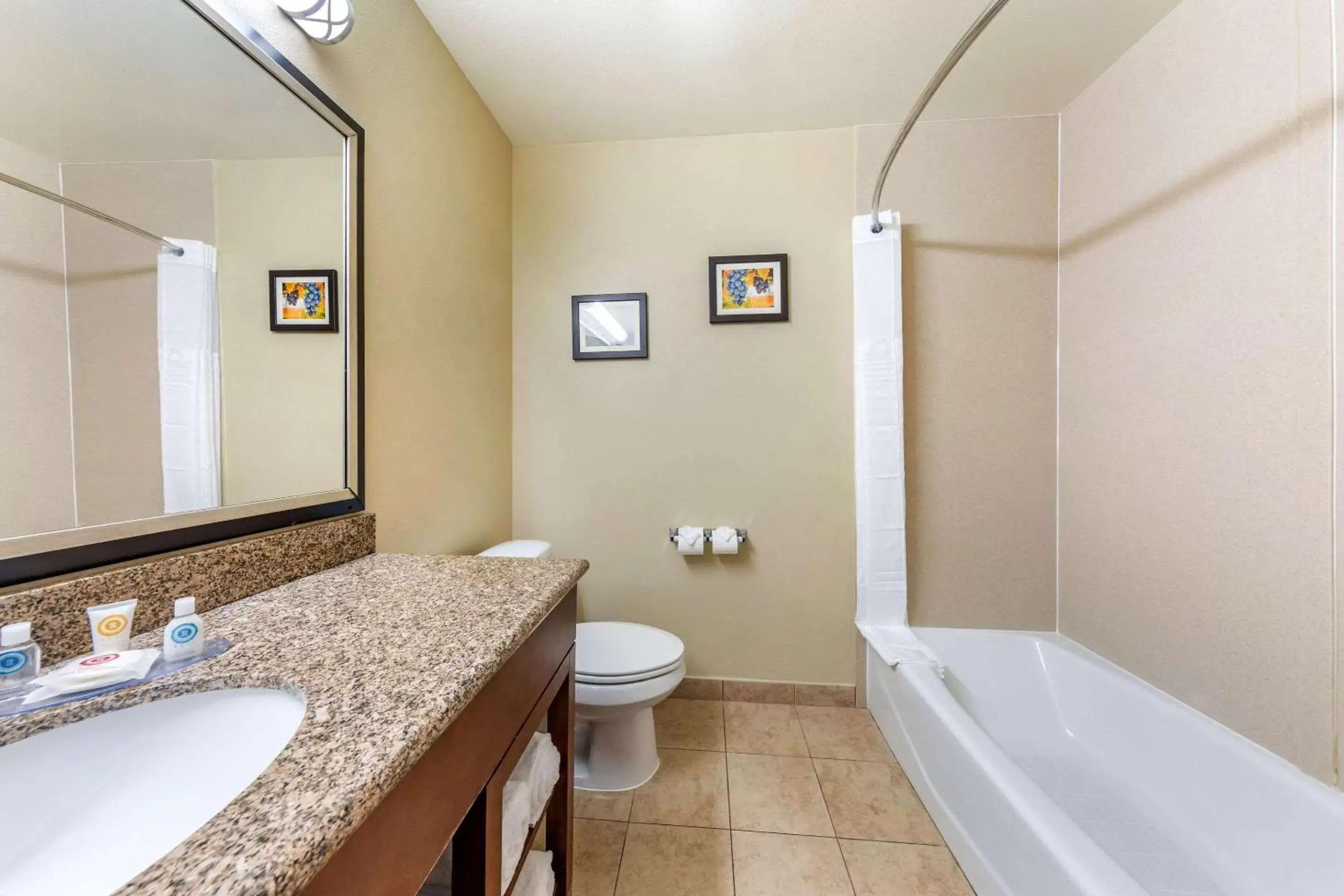 Bathroom in Comfort Inn and Suites Colton/San Bernardino