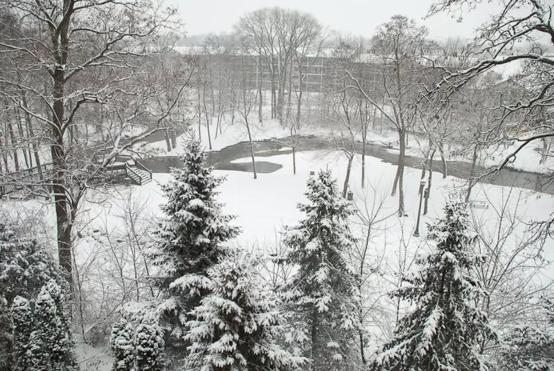 Winter in Mill Creek Hotel