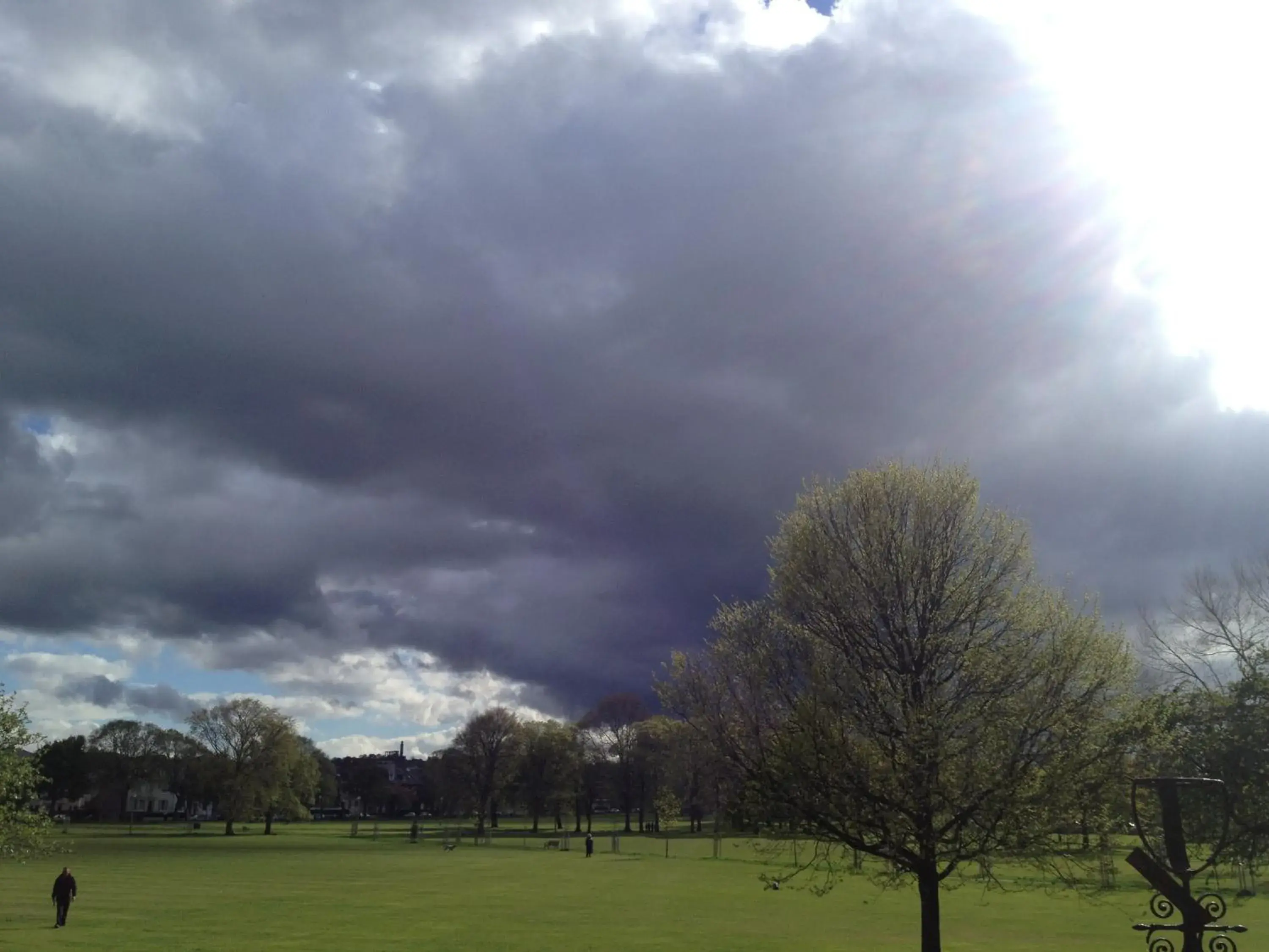 Garden view in Adelphi Hotel Garden view in Adelphi Hotel