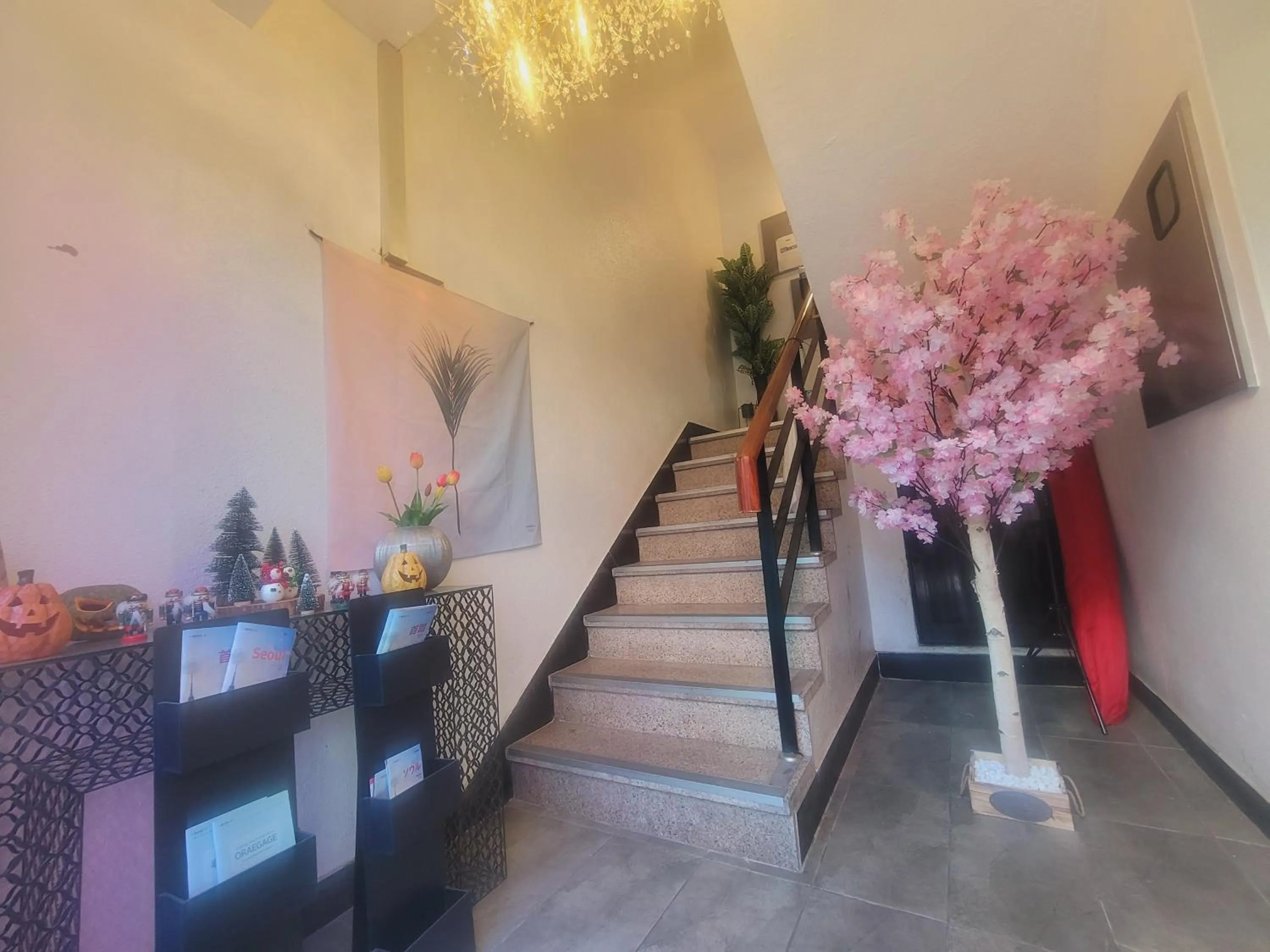 Property building in Olive Hostel MyeongDong