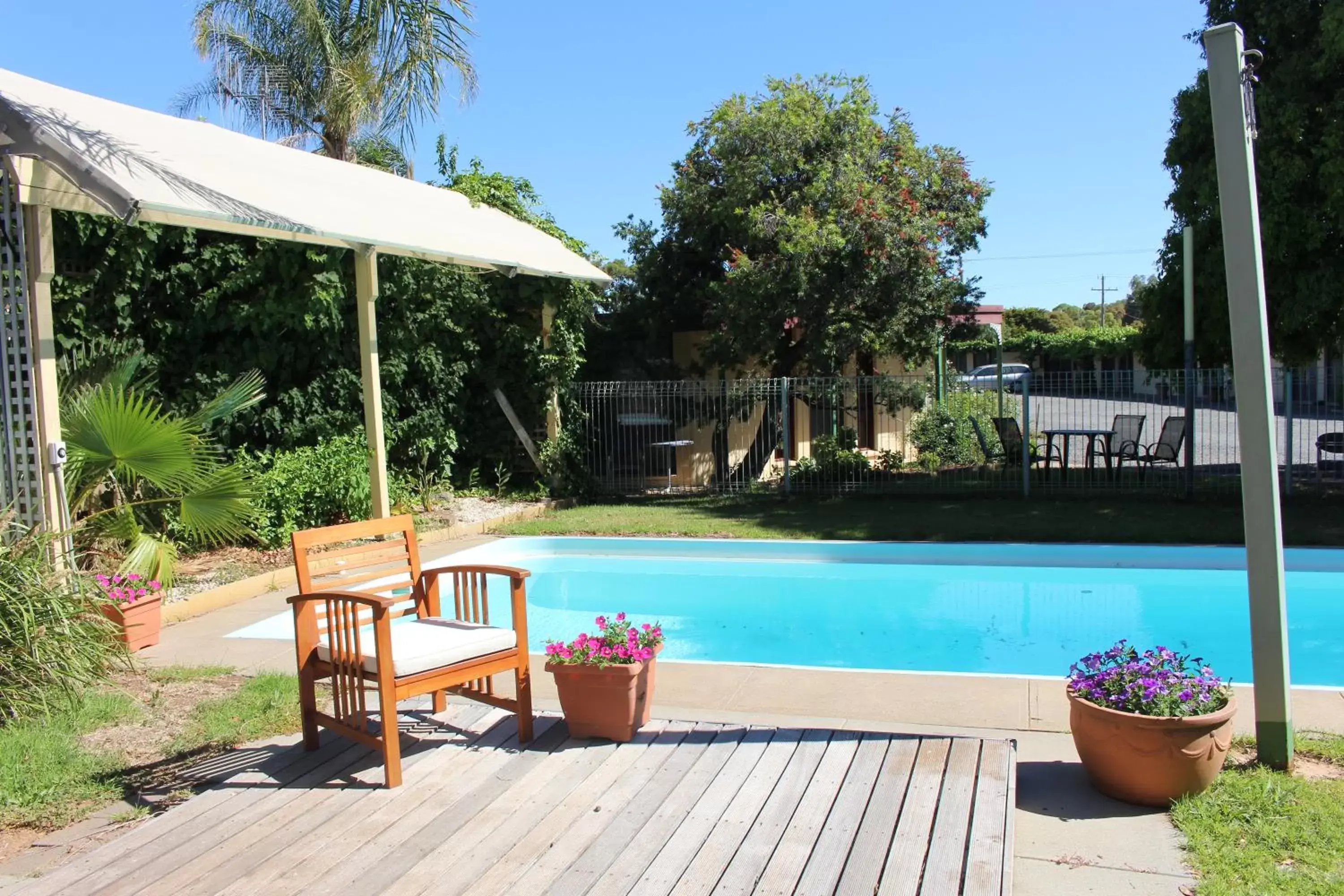 Garden, Swimming Pool in Cobram Colonial Motor Inn