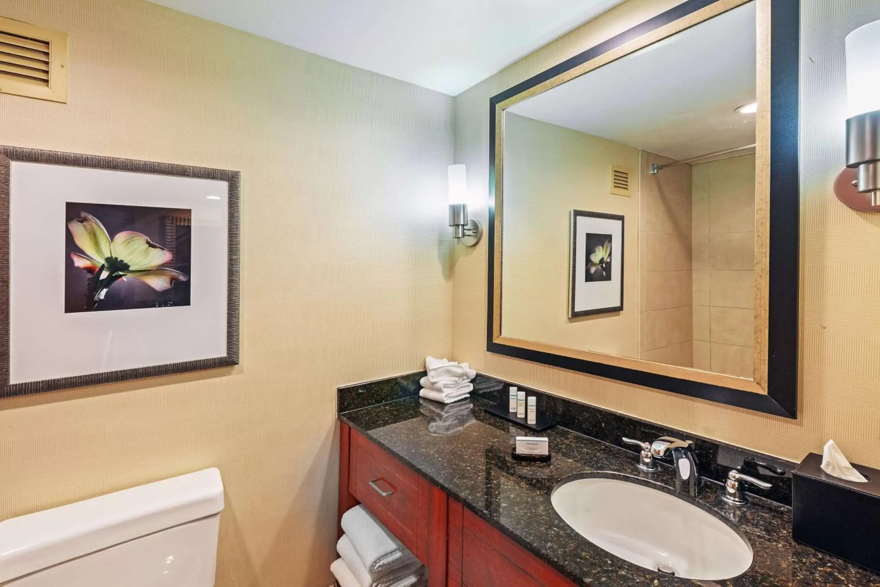 Bathroom in Embassy Suites by Hilton Greensboro Airport