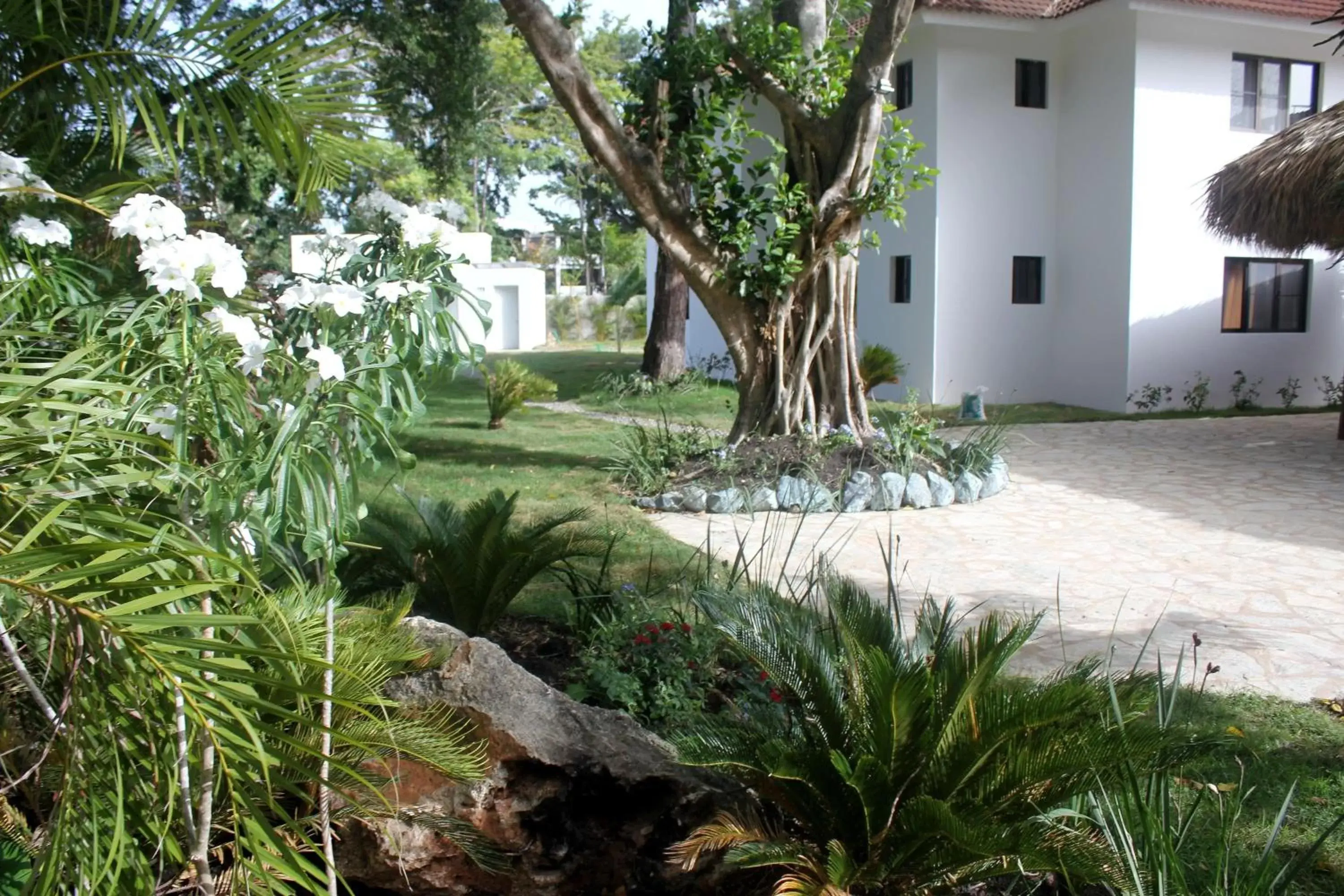 View (from property/room), Property Building in Coral Blanco Hotel