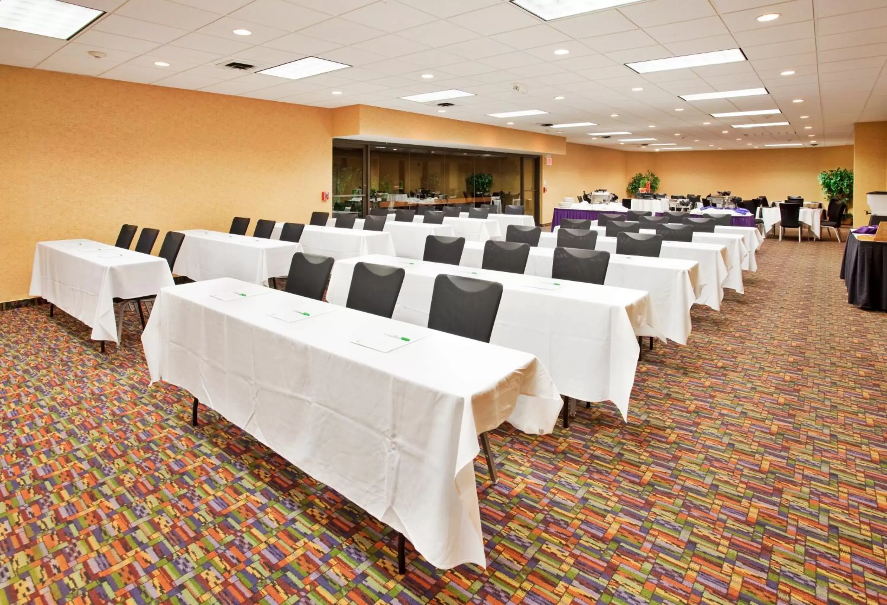 Meeting/conference room in Holiday Inn At the Campus, an IHG Hotel