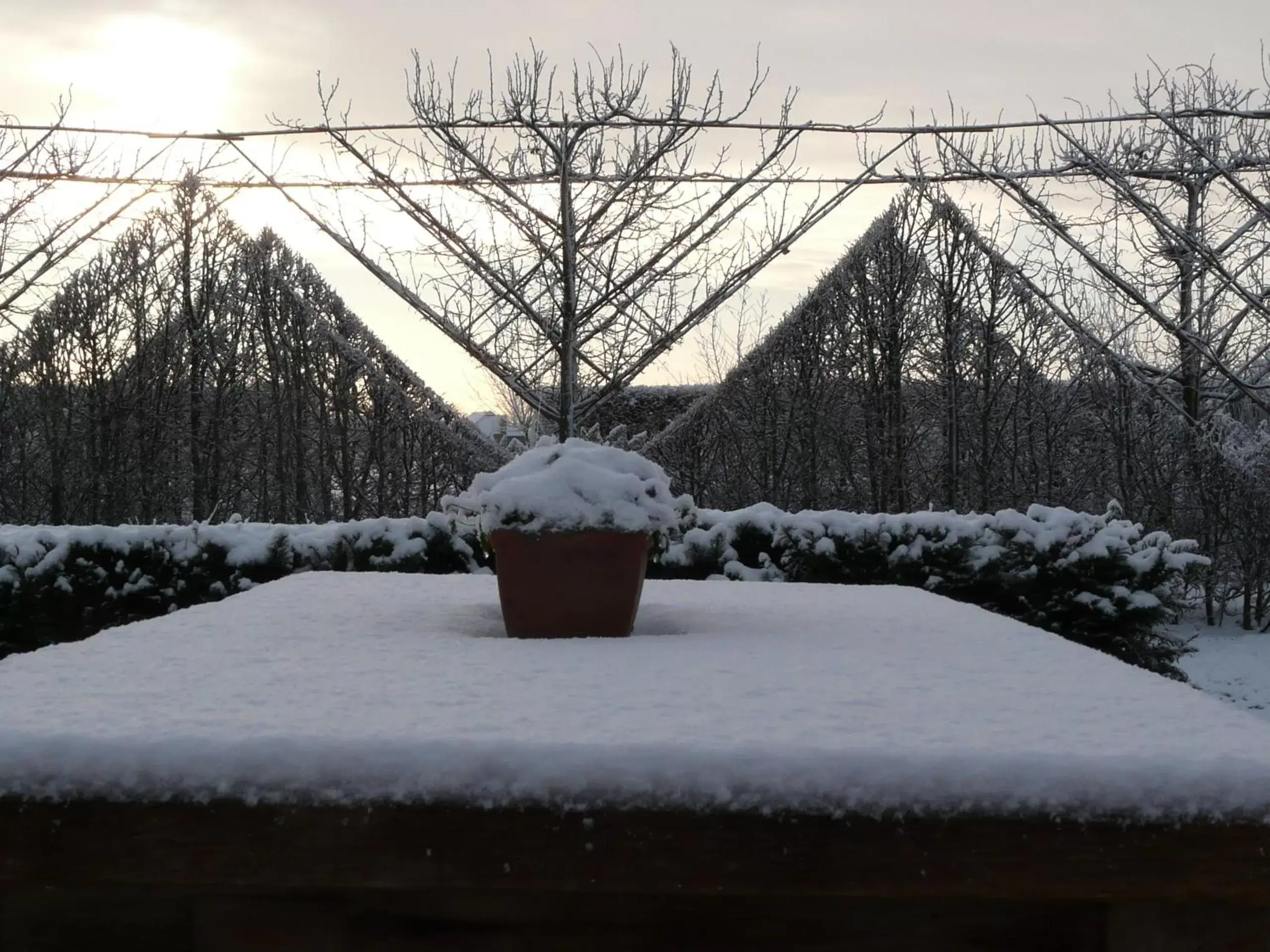 View (from property/room), Winter in Landgoedlogies Pábema