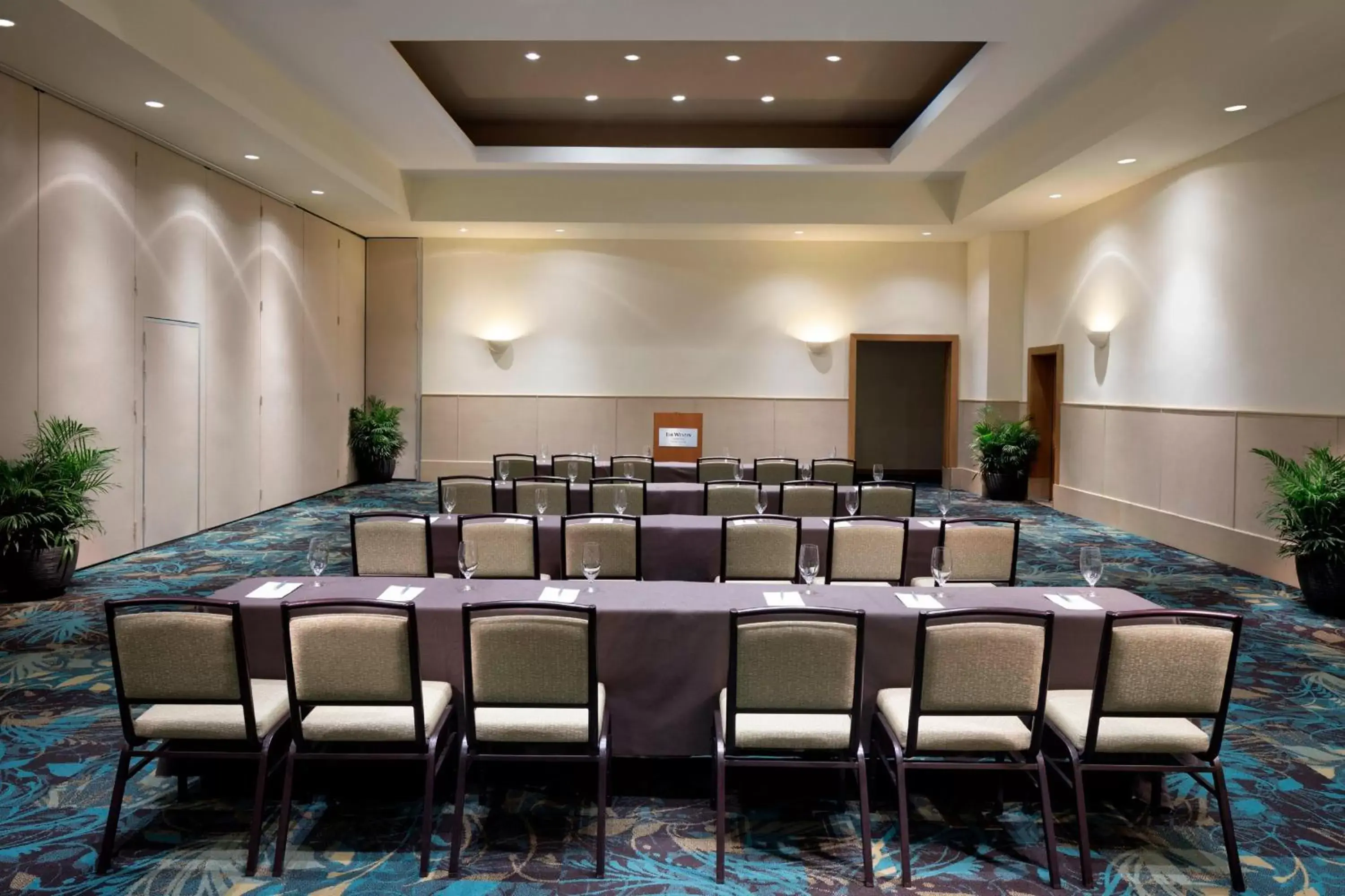 Meeting/conference room in The Westin Puntacana Resort & Club
