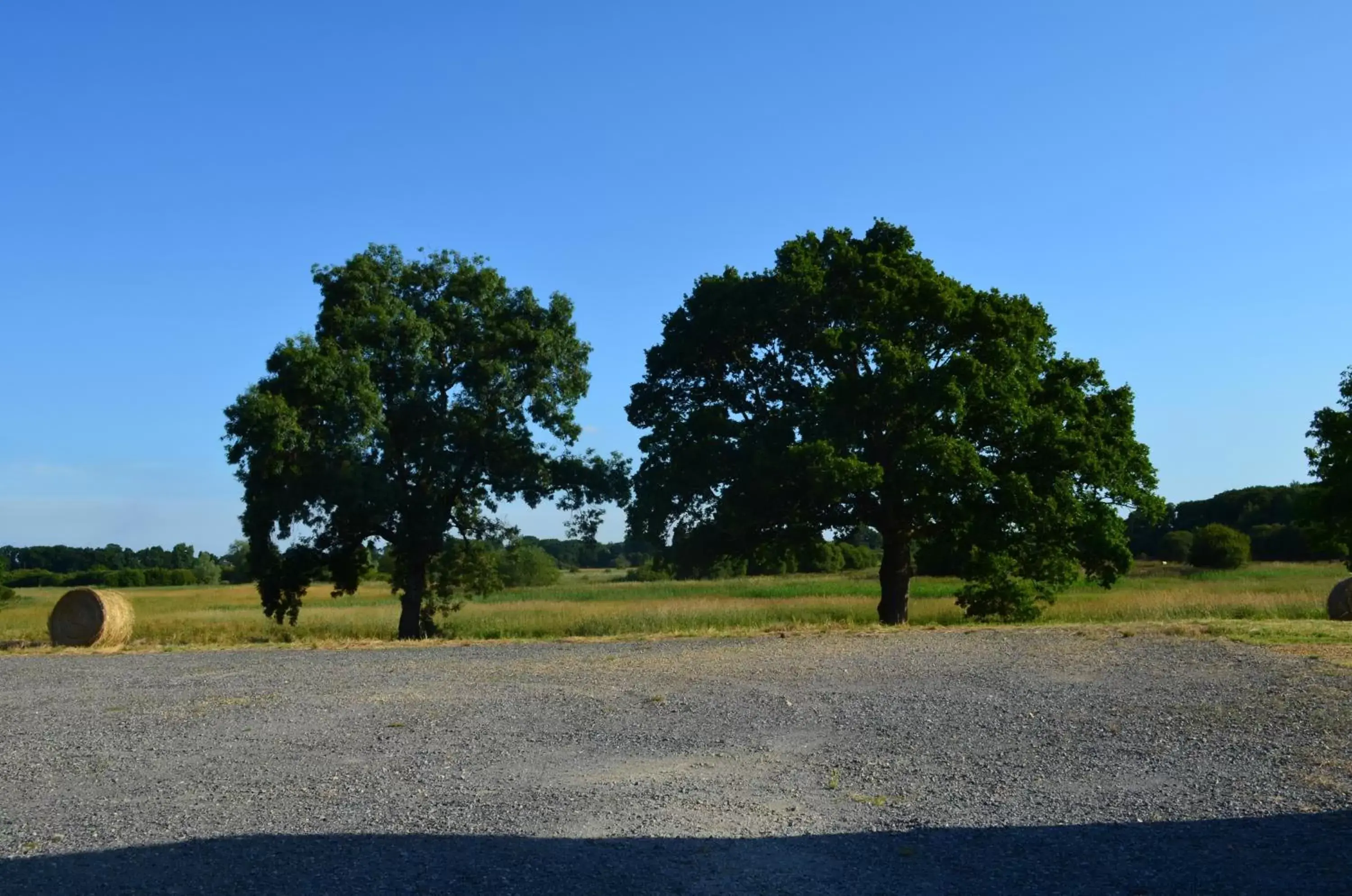 Garden in La Ferme Du Blanchot