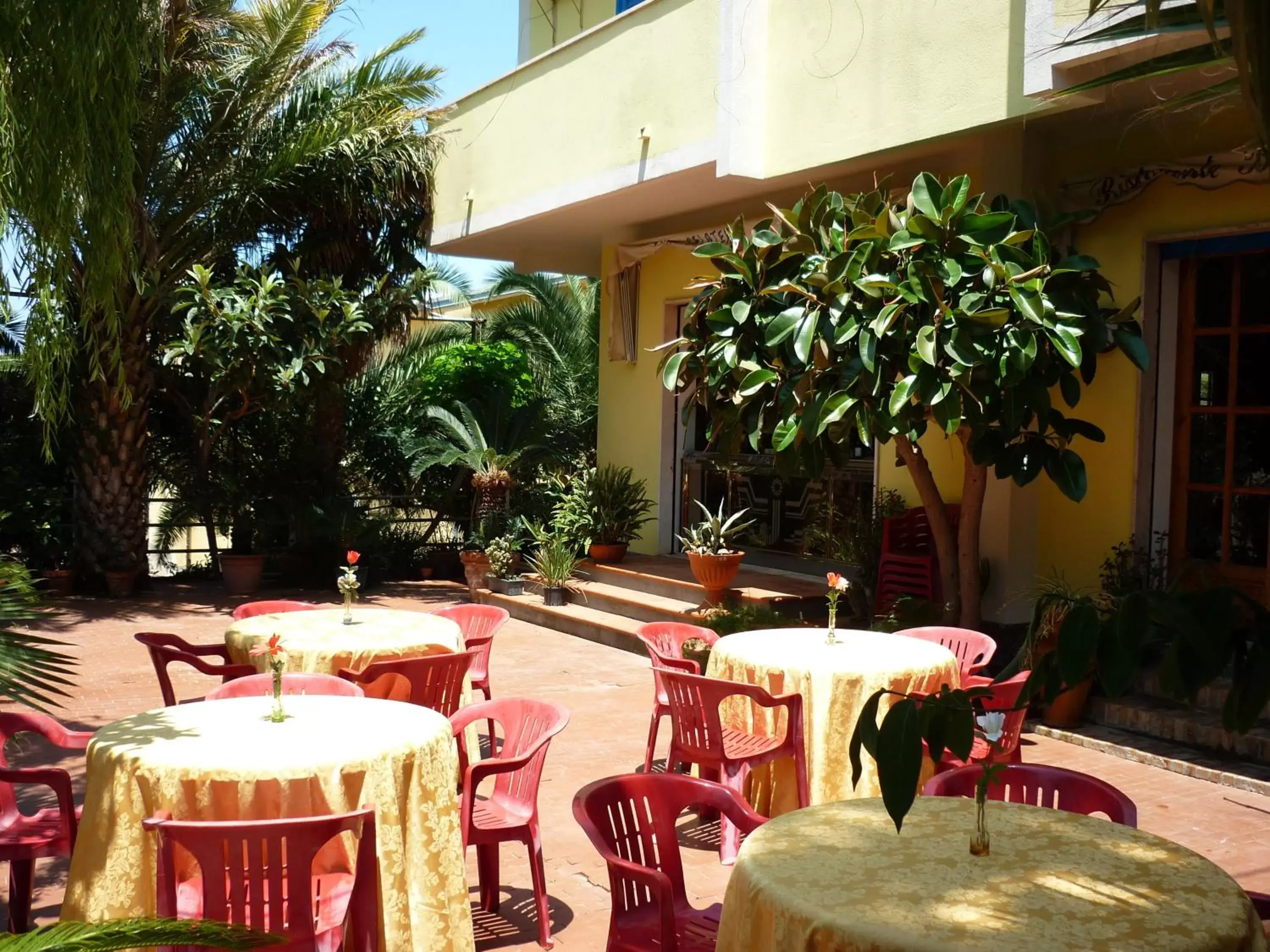 Garden, Restaurant/Places to Eat in Hotel Alexander