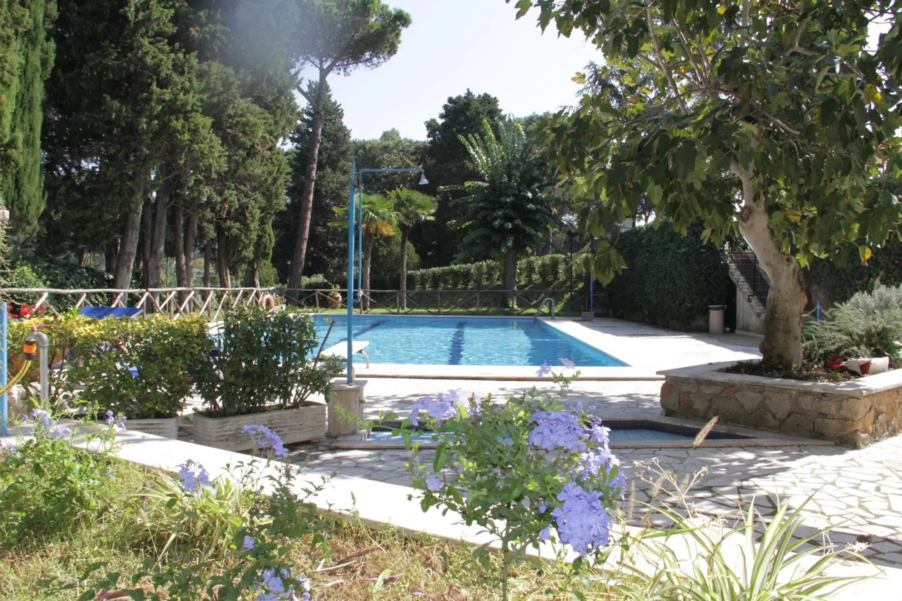 Pool view, Swimming Pool in Hotel Boomerang Roma