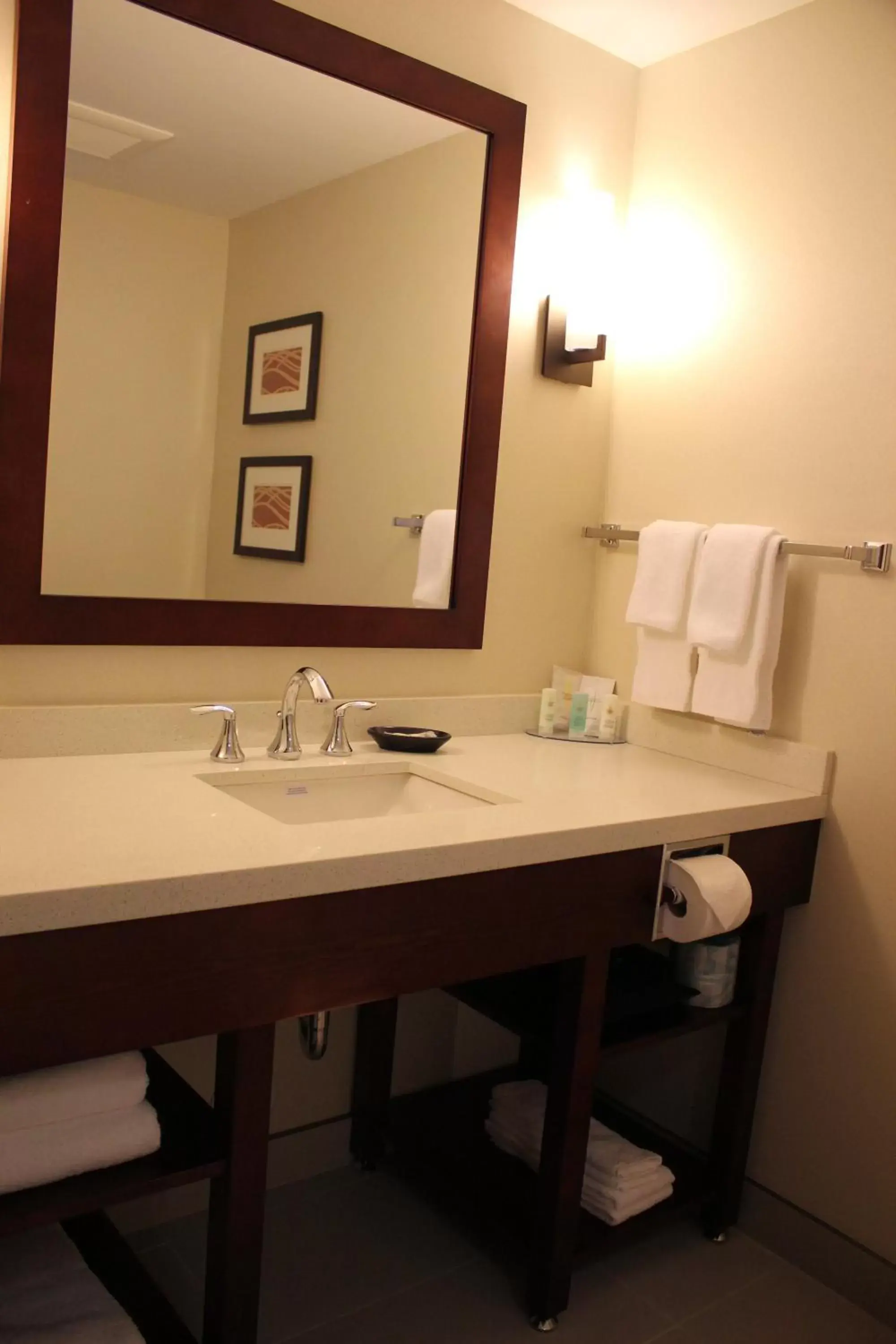 Bathroom in Comfort Inn & Suites Edmonton International Airport