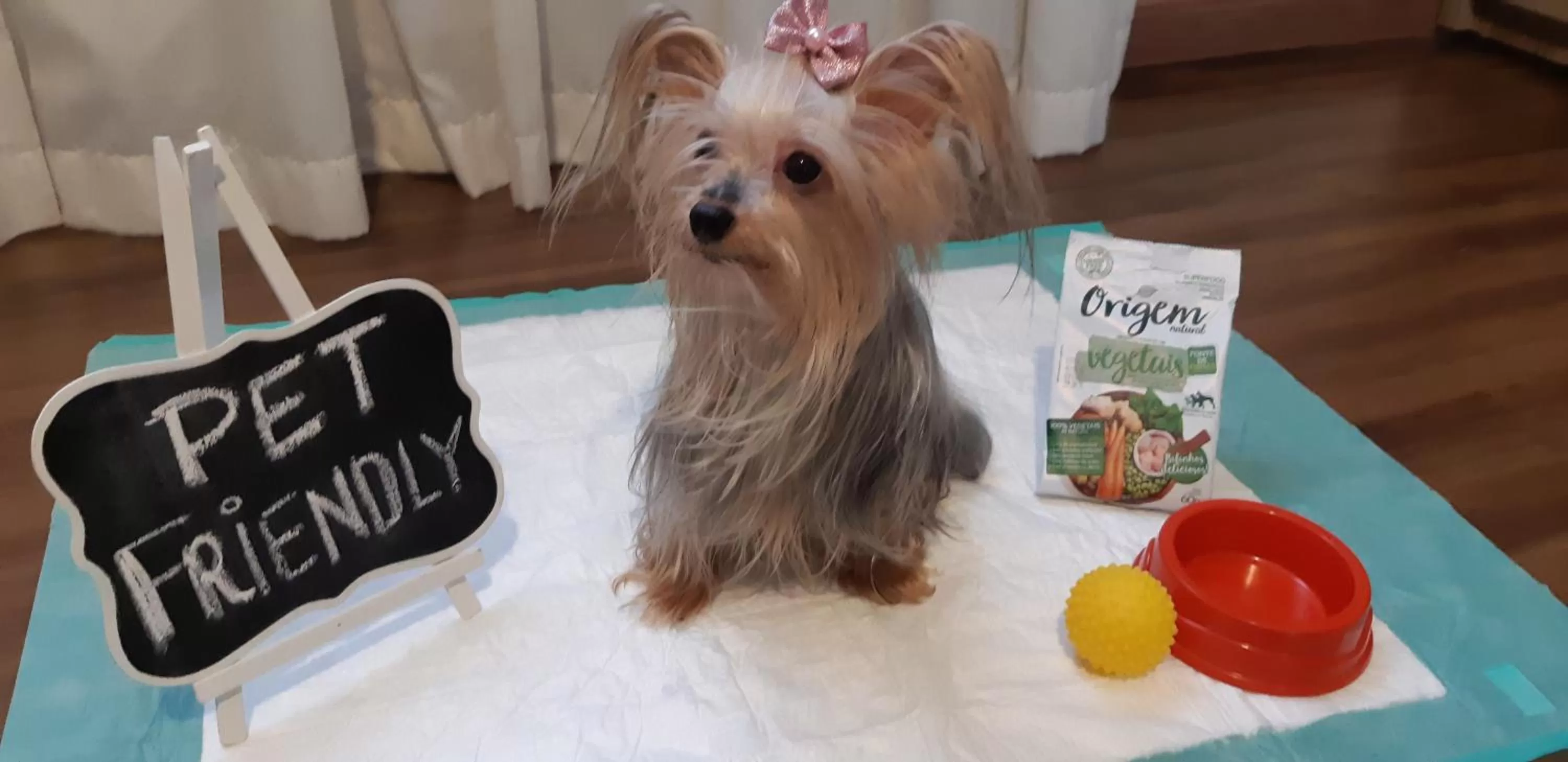 Animals in Comfort Mogi Guaçu