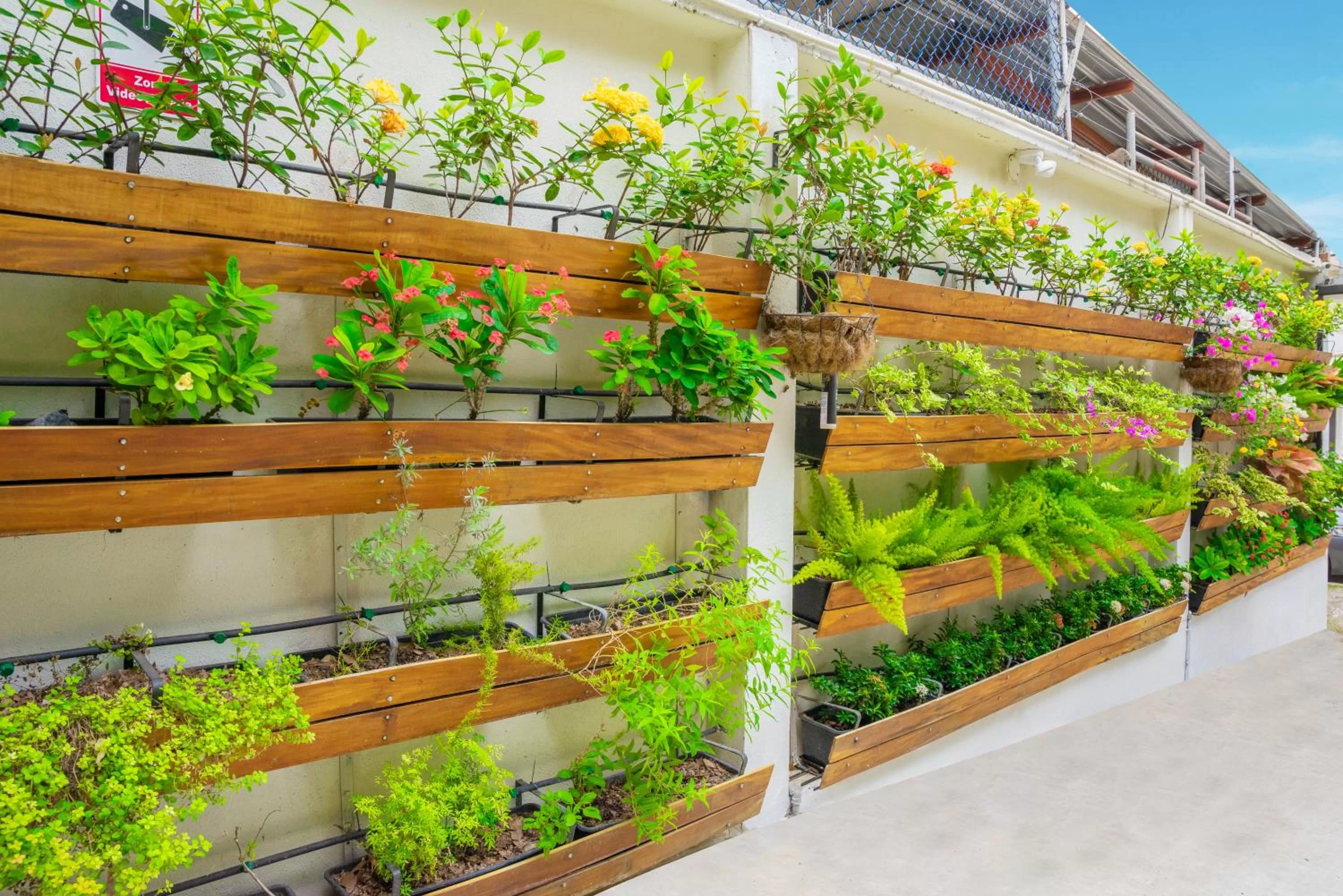 Garden in Hotel Boutique Platanal