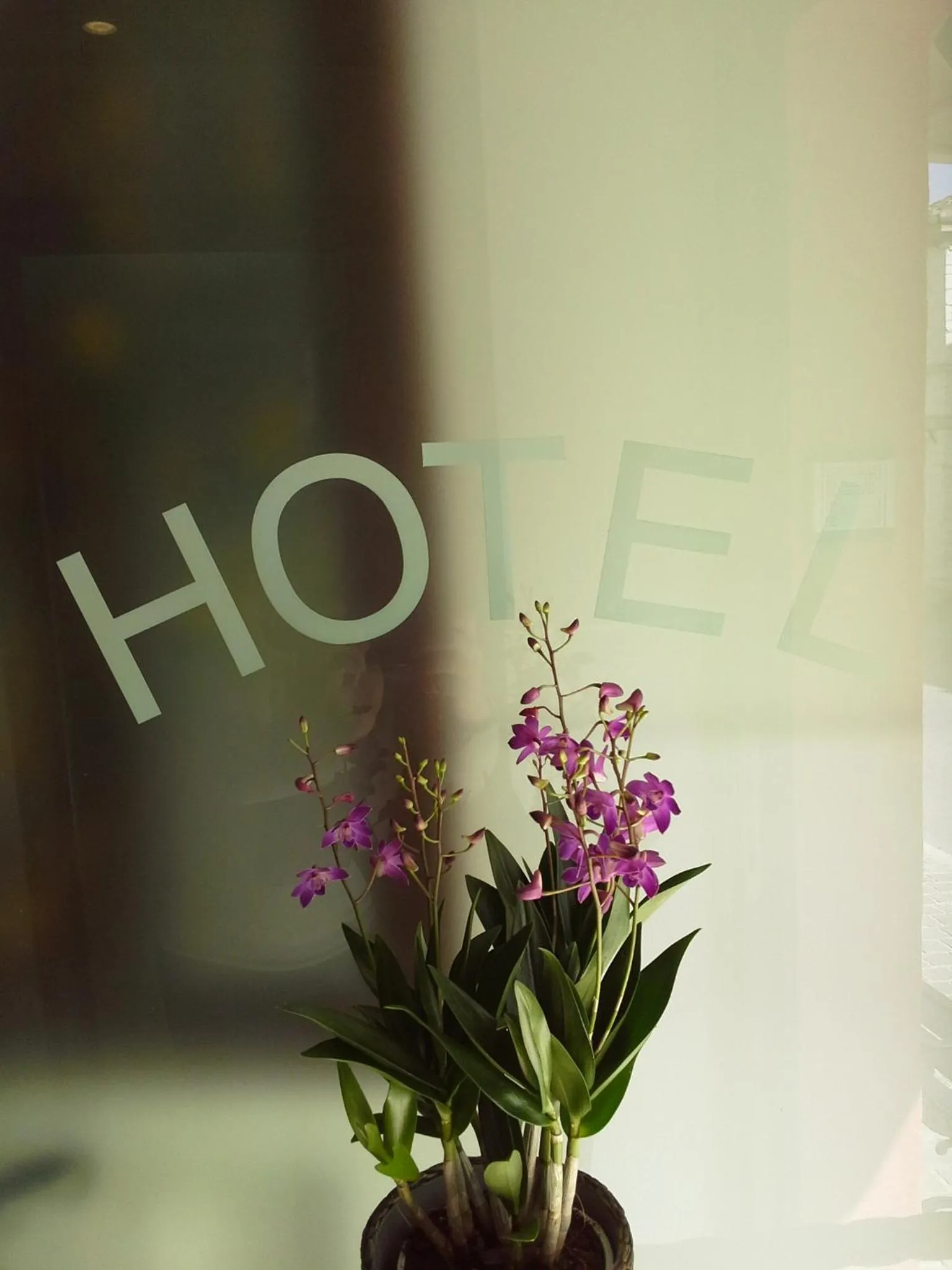 Decorative detail in Hotel "Il Parco" B&B Sirolo