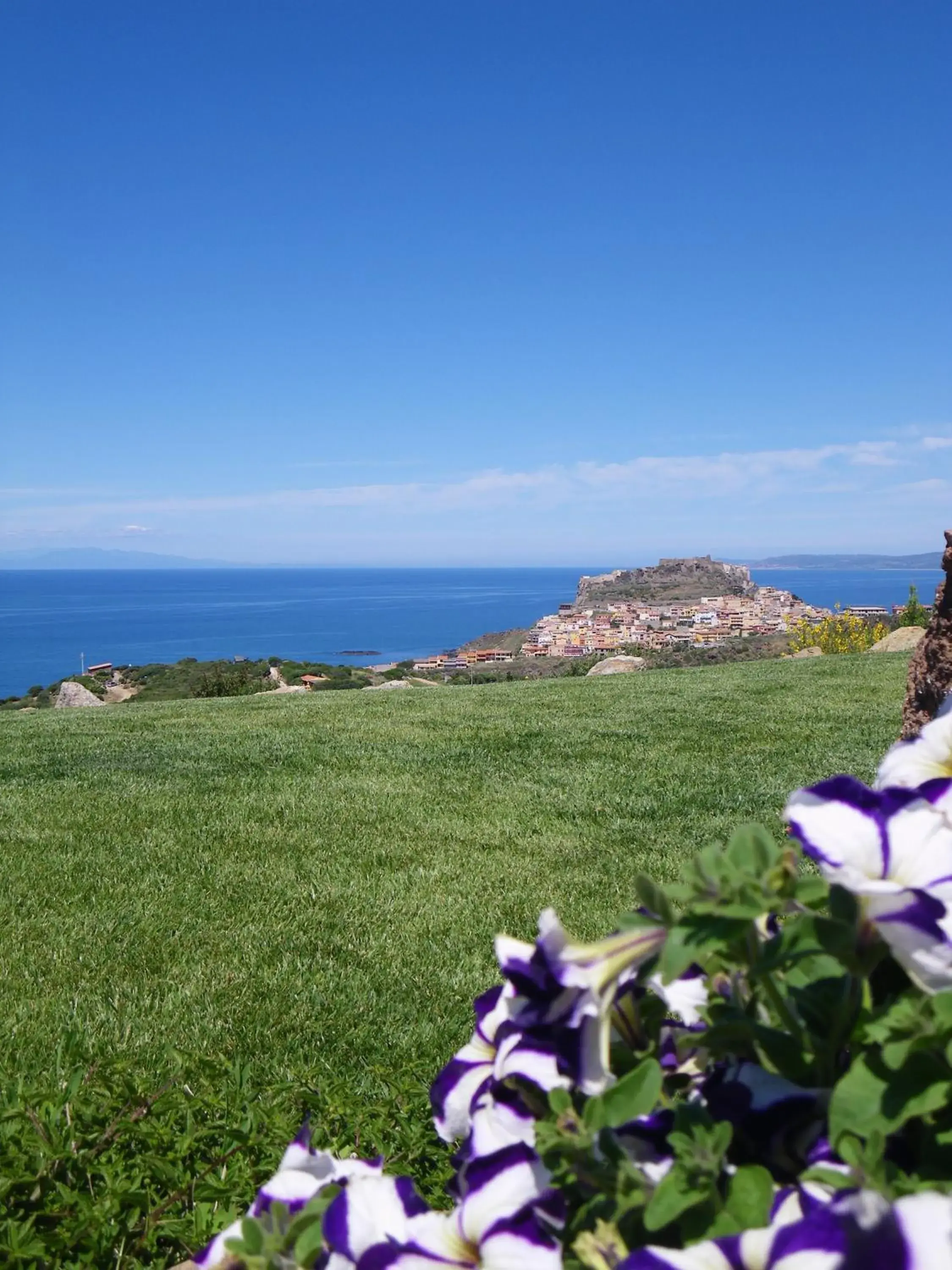 Garden in Bajaloglia Resort