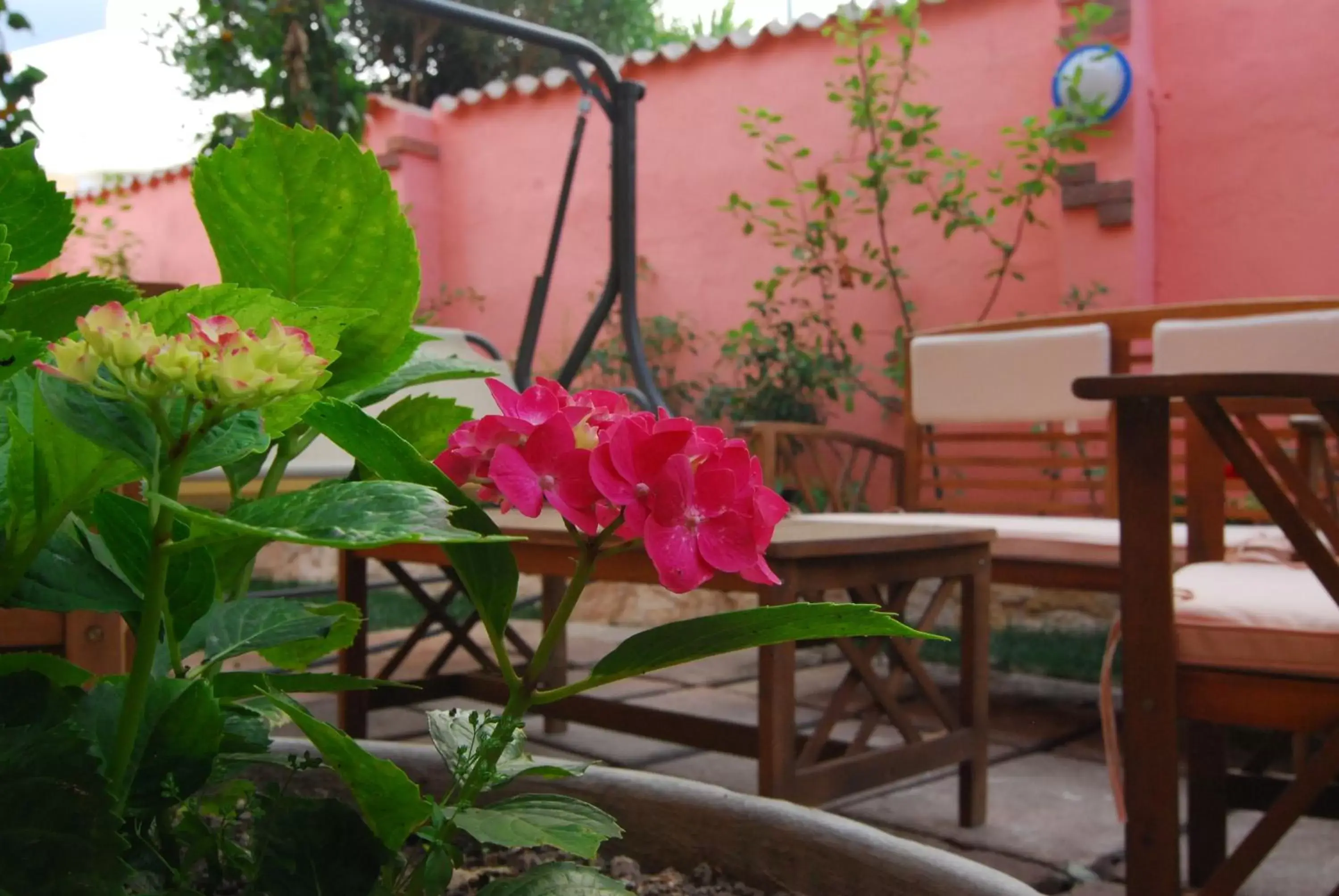 Garden, Patio/Outdoor Area in Flowery Inn Villa