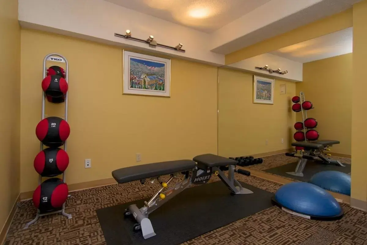 Fitness centre/facilities, Fitness Center/Facilities in Mountain Side Hotel Whistler by Executive