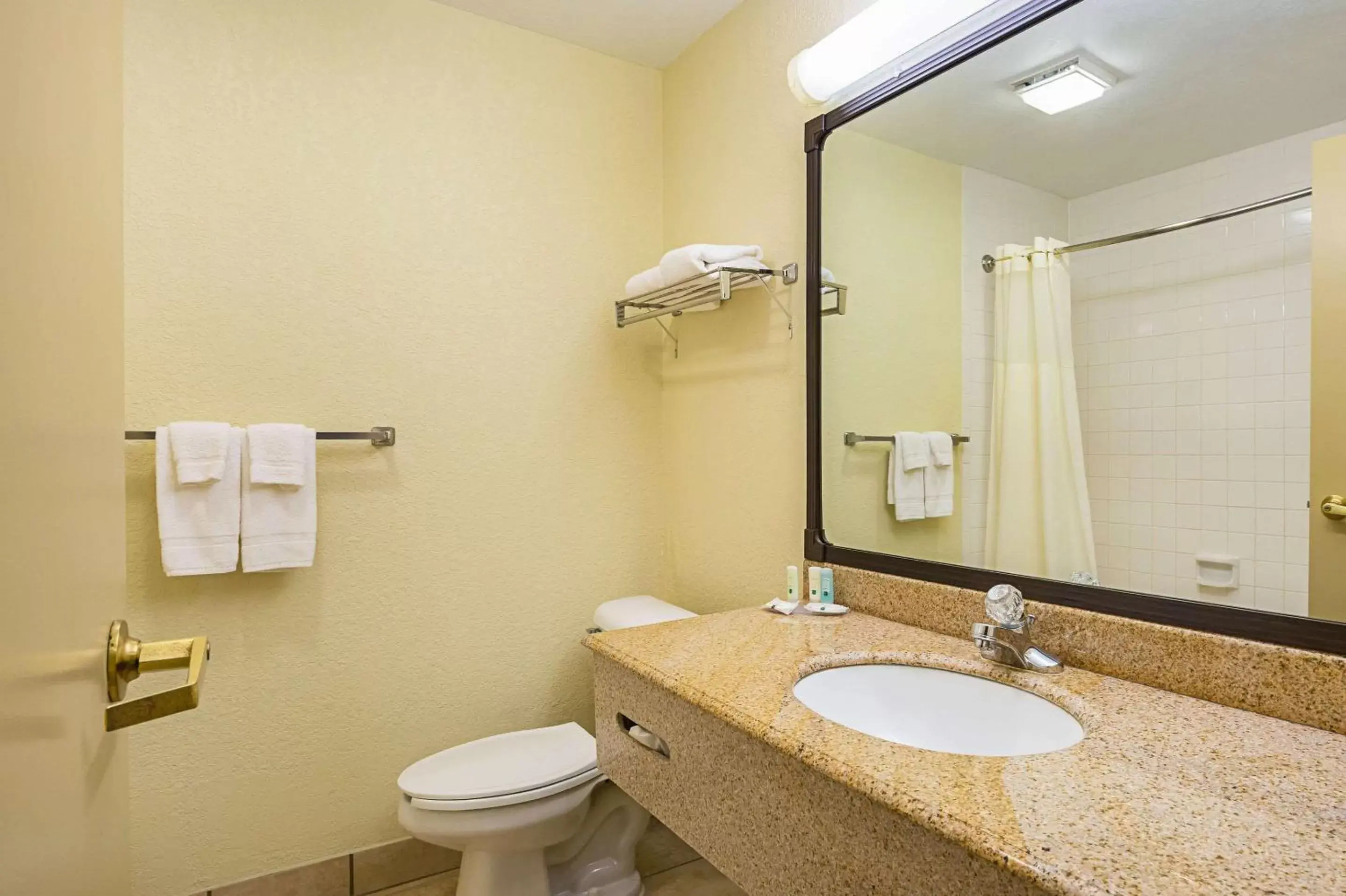 Bathroom in Quality Inn & Suites NRG Park - Medical Center