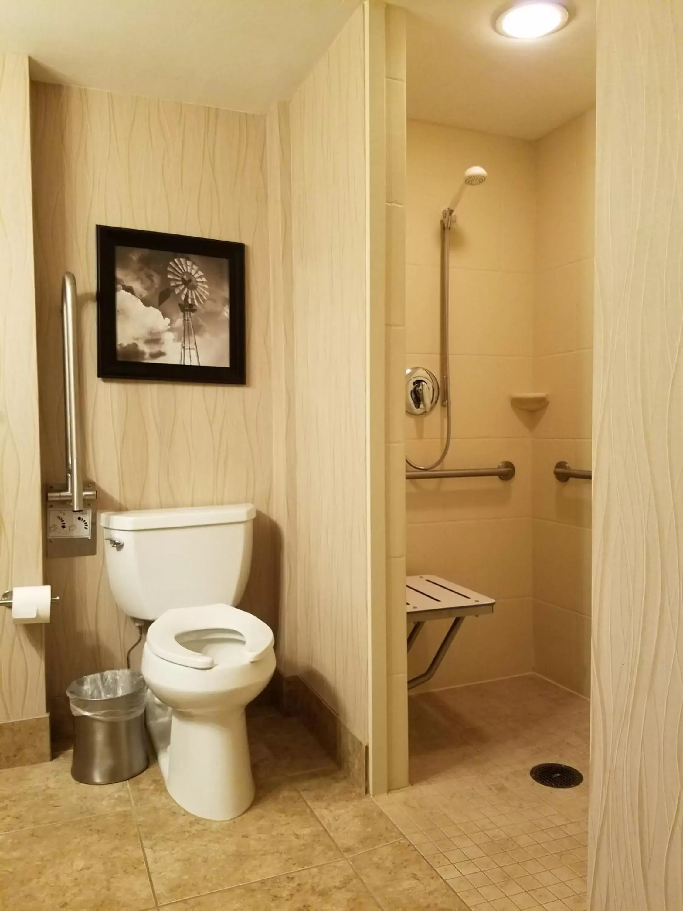 Shower, Bathroom in Best Western Premier Waterfront Hotel & Convention Center