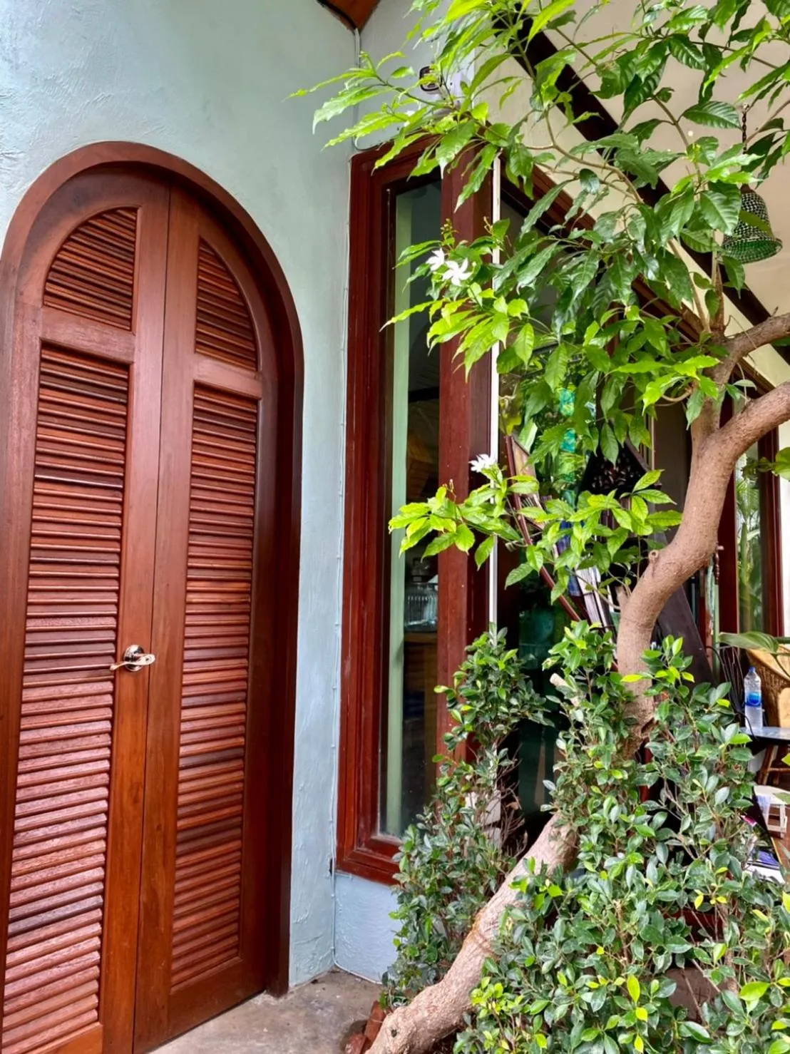 Garden in The Twenty Lodge