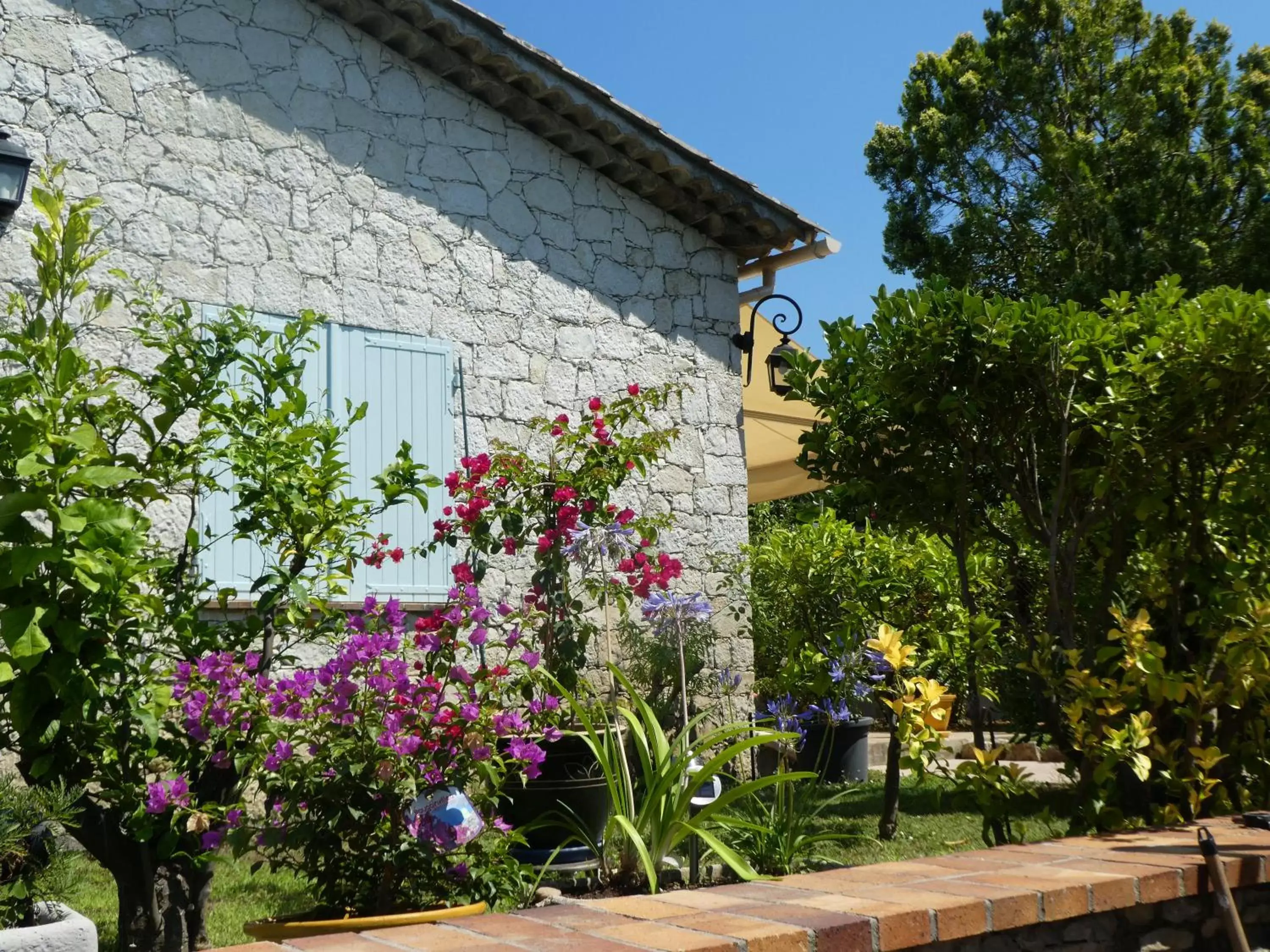 Garden, Property Building in Villa Alessia