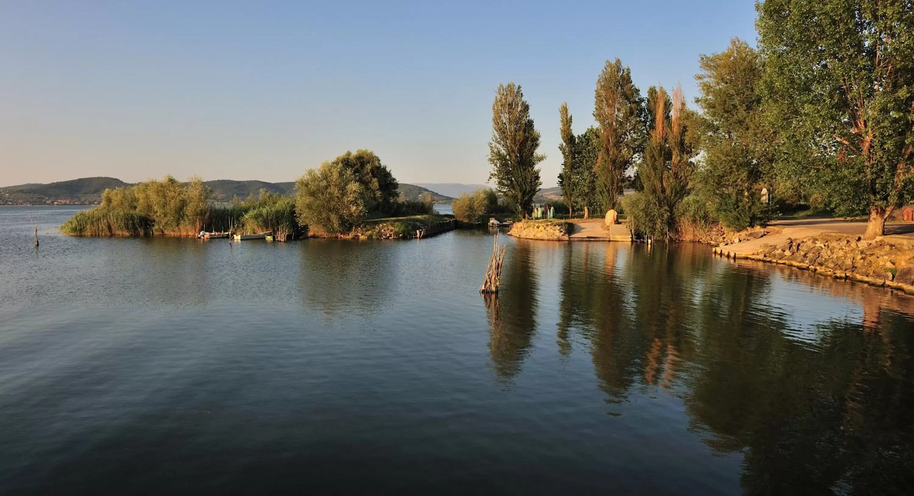 Area and facilities in Tenuta Badia '99