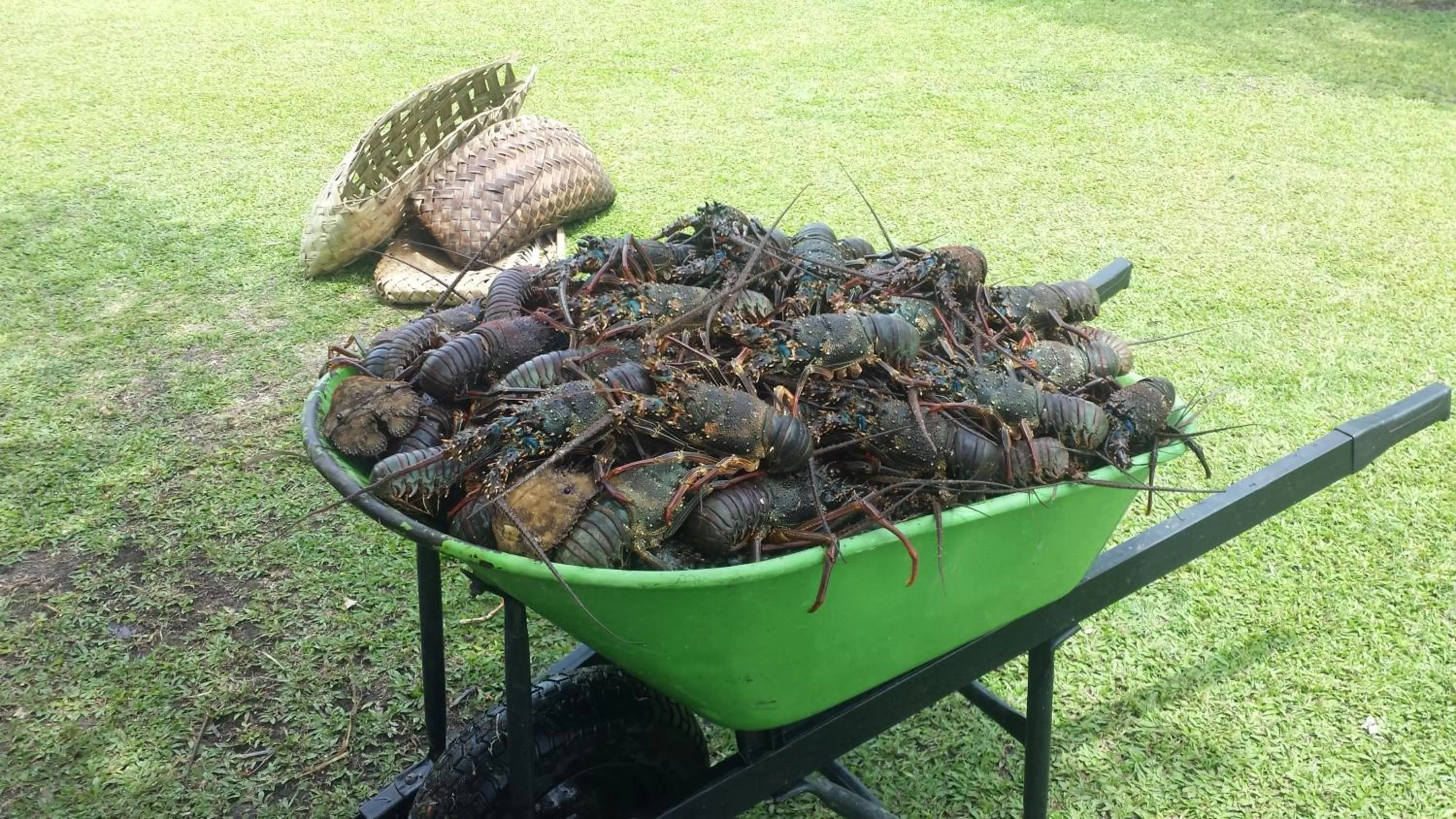 Rapopo Plantation Resort