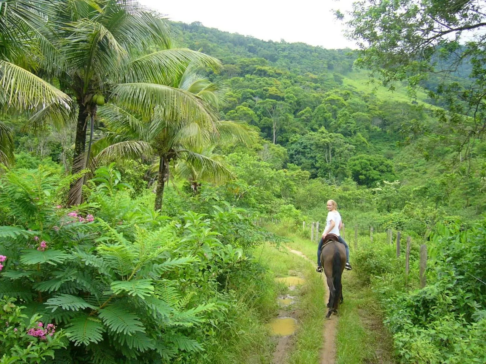 Horse-riding in Hotel Eco Sítio Nosso Paraíso