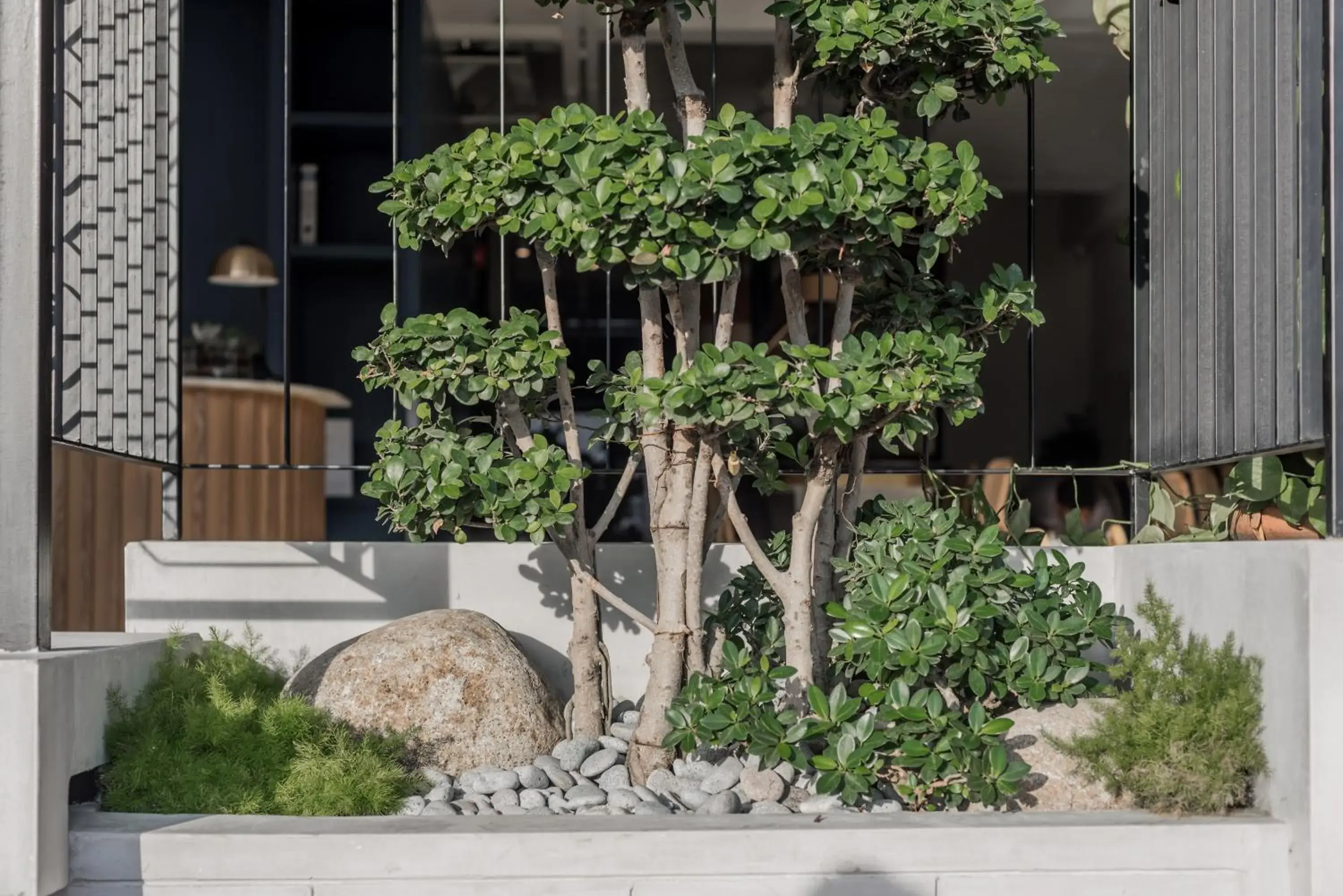 Garden view in Bunk & Bilik Hotel Jalan Ipoh Garden view in Bunk & Bilik Hotel Jalan Ipoh