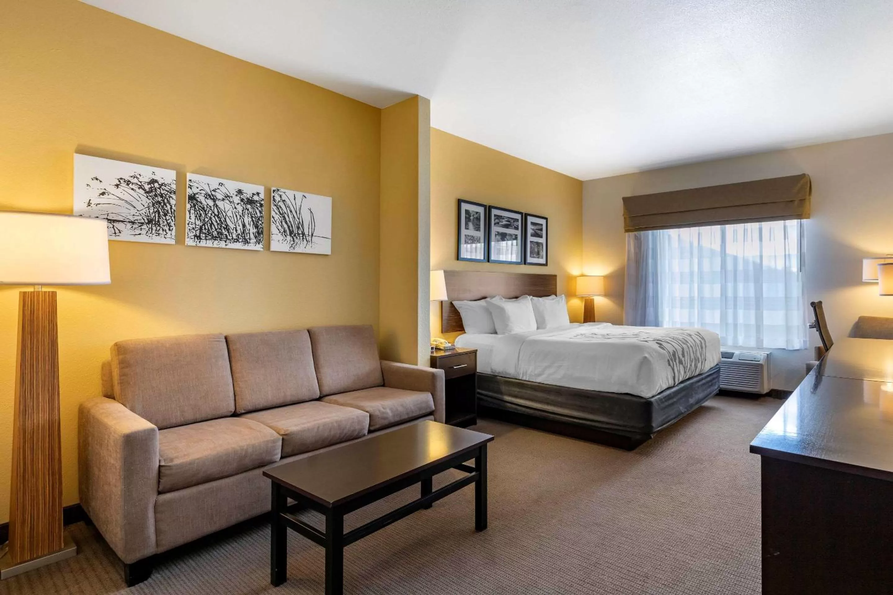 Photo of the whole room, Bed in Sleep Inn & Suites Miles City I-94