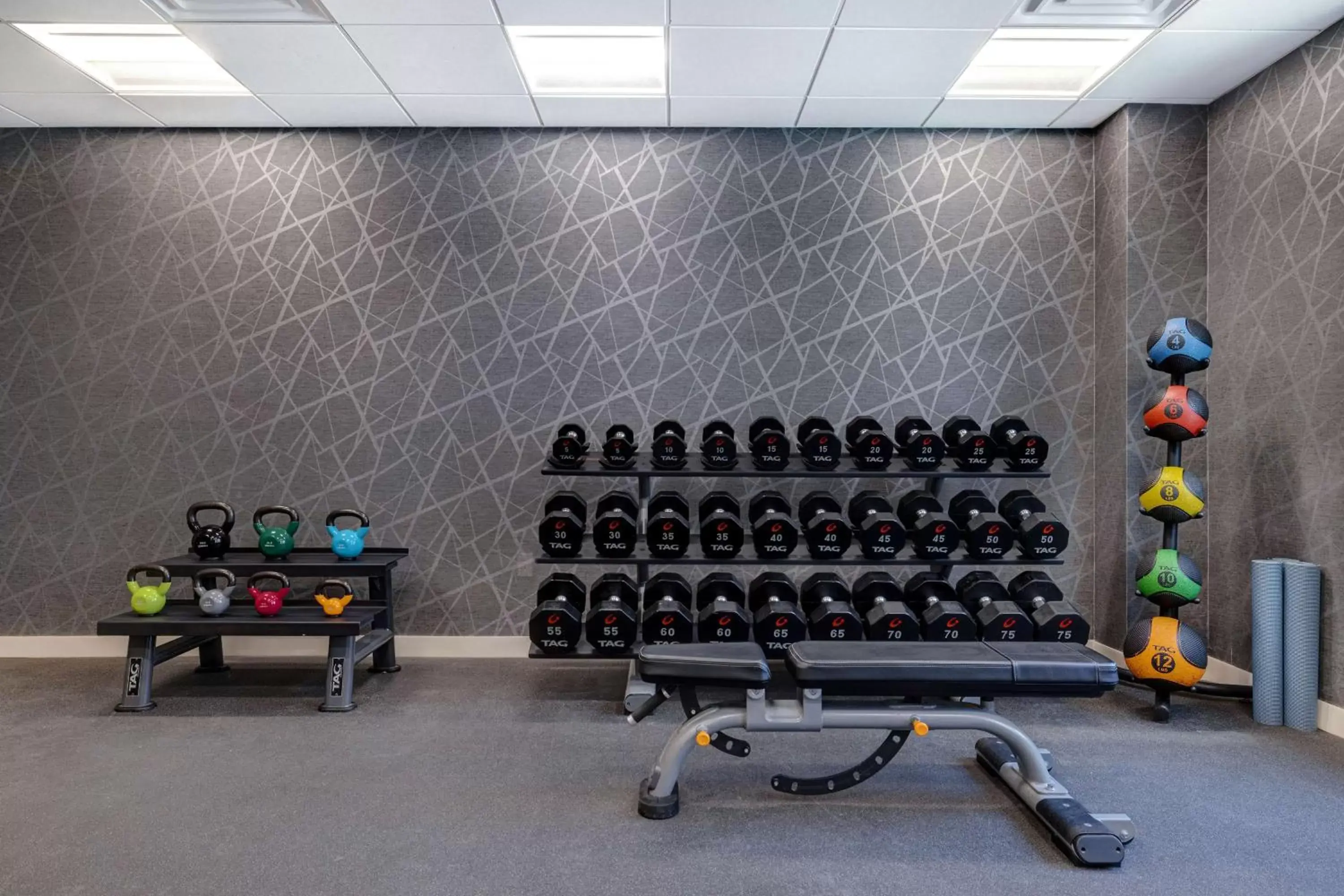 Fitness centre/facilities, Fitness Center/Facilities in Homewood Suites Lansdale
