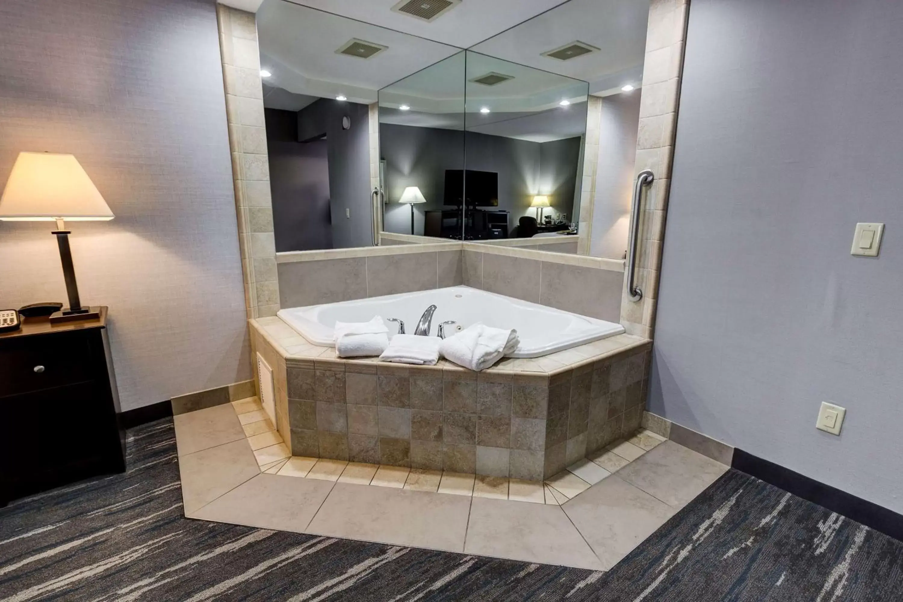 Bathroom in Hampton Inn & Suites by Hilton Brantford