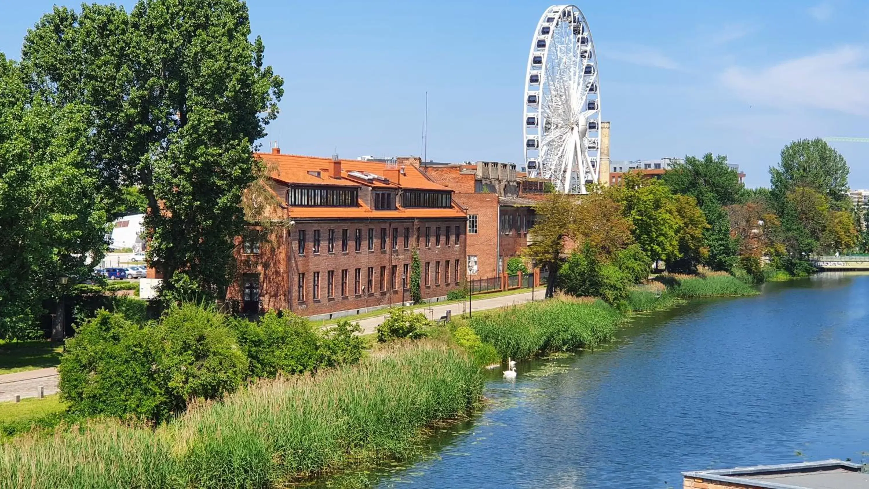 View (from property/room), Property Building in Podewils Old Town Gdansk