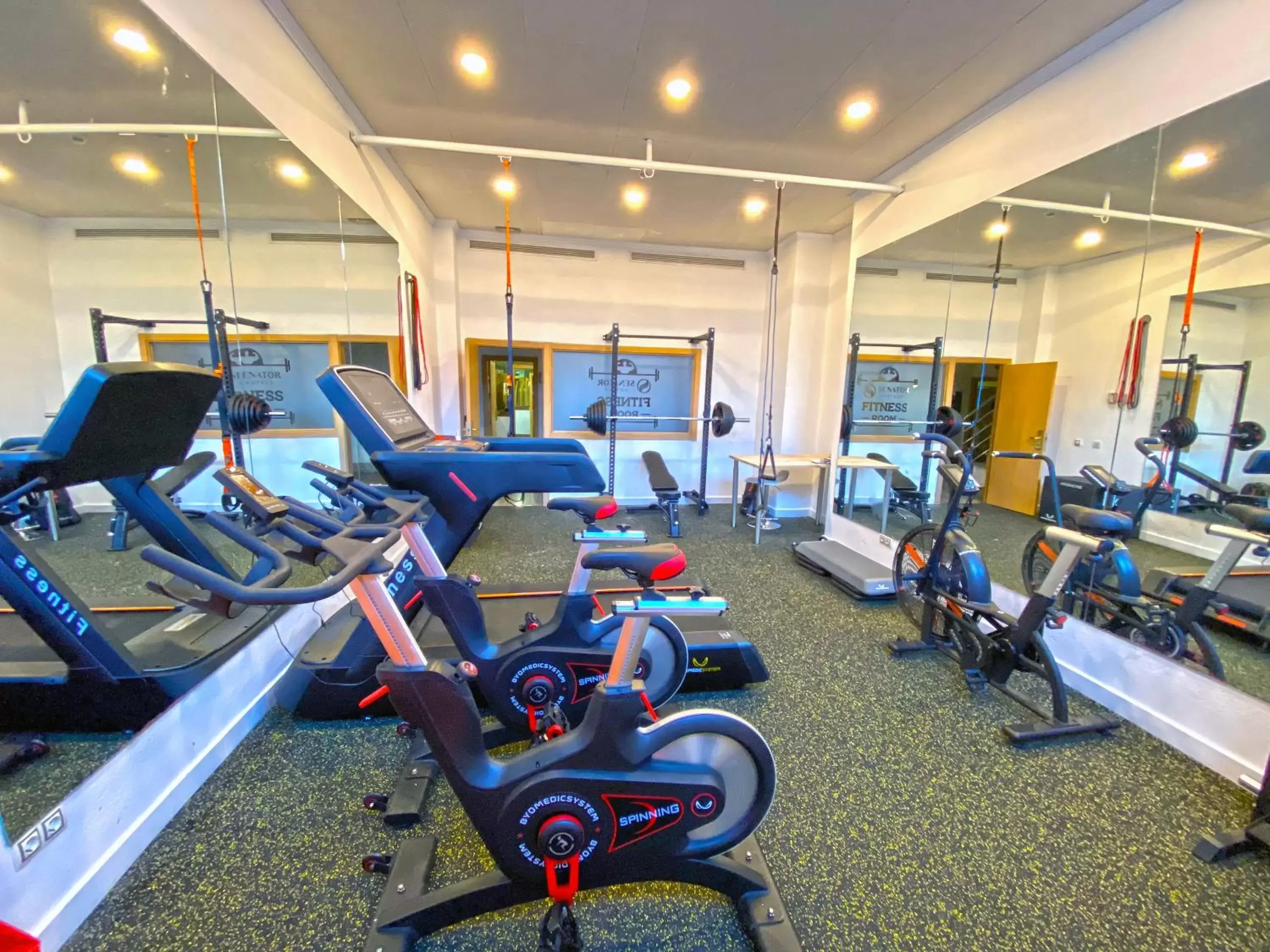 Fitness centre/facilities, Fitness Center/Facilities in Senator Marbella Spa Hotel