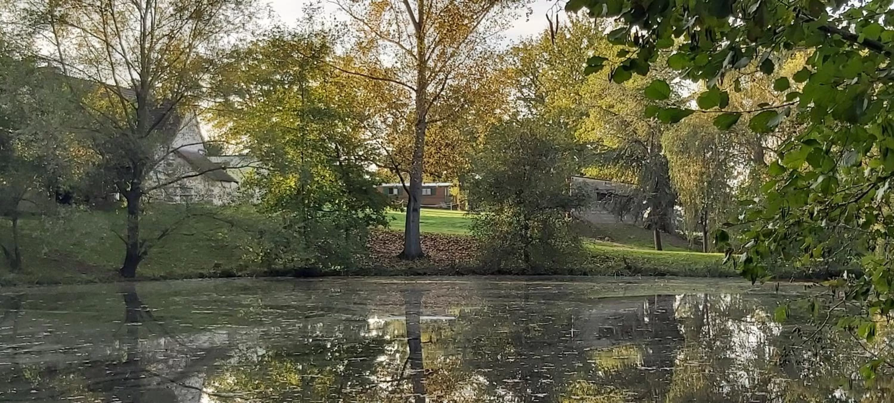 Garden view in Les Roulottes des Ris
