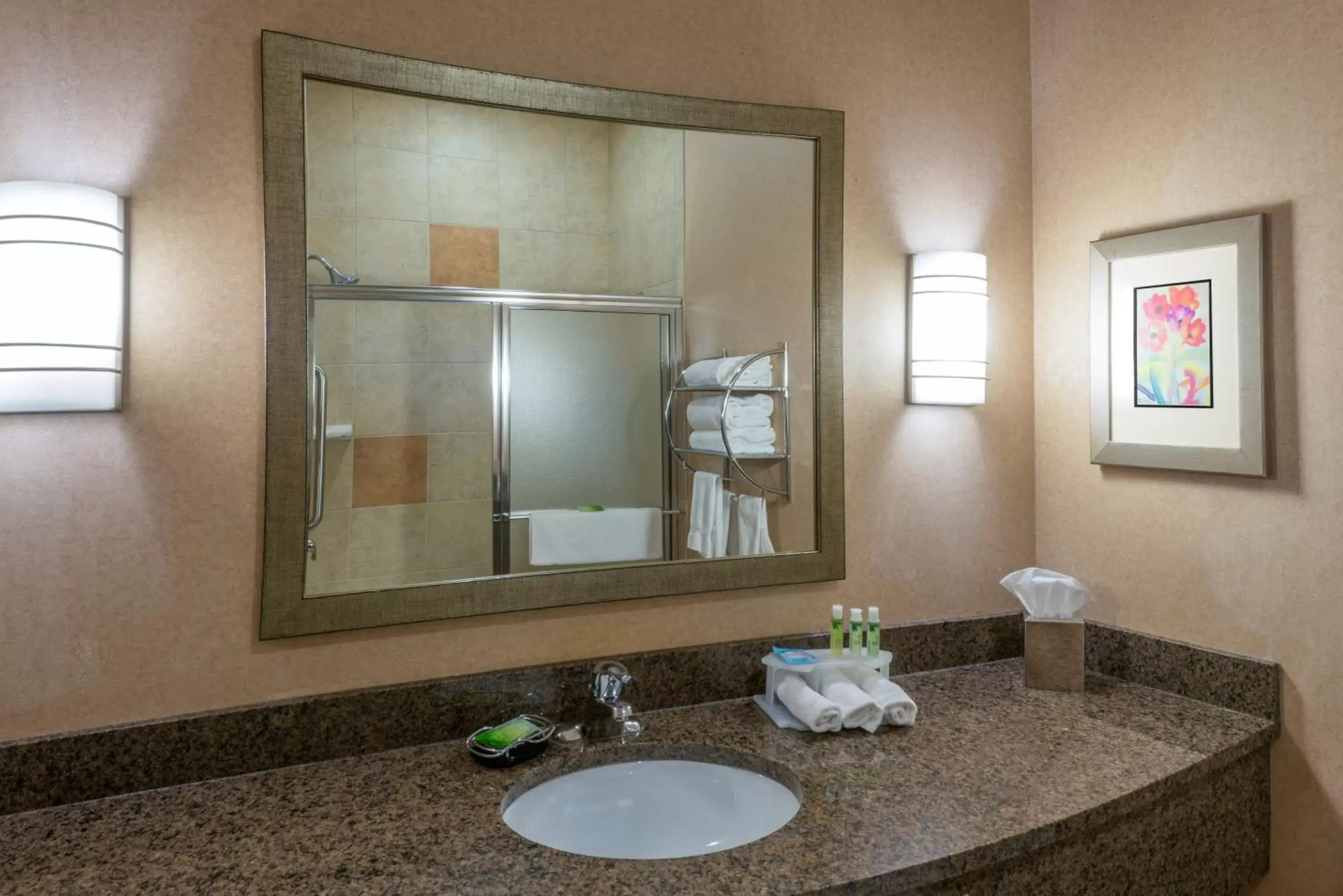 Bathroom in Holiday Inn Express Hotel Vernal, an IHG Hotel