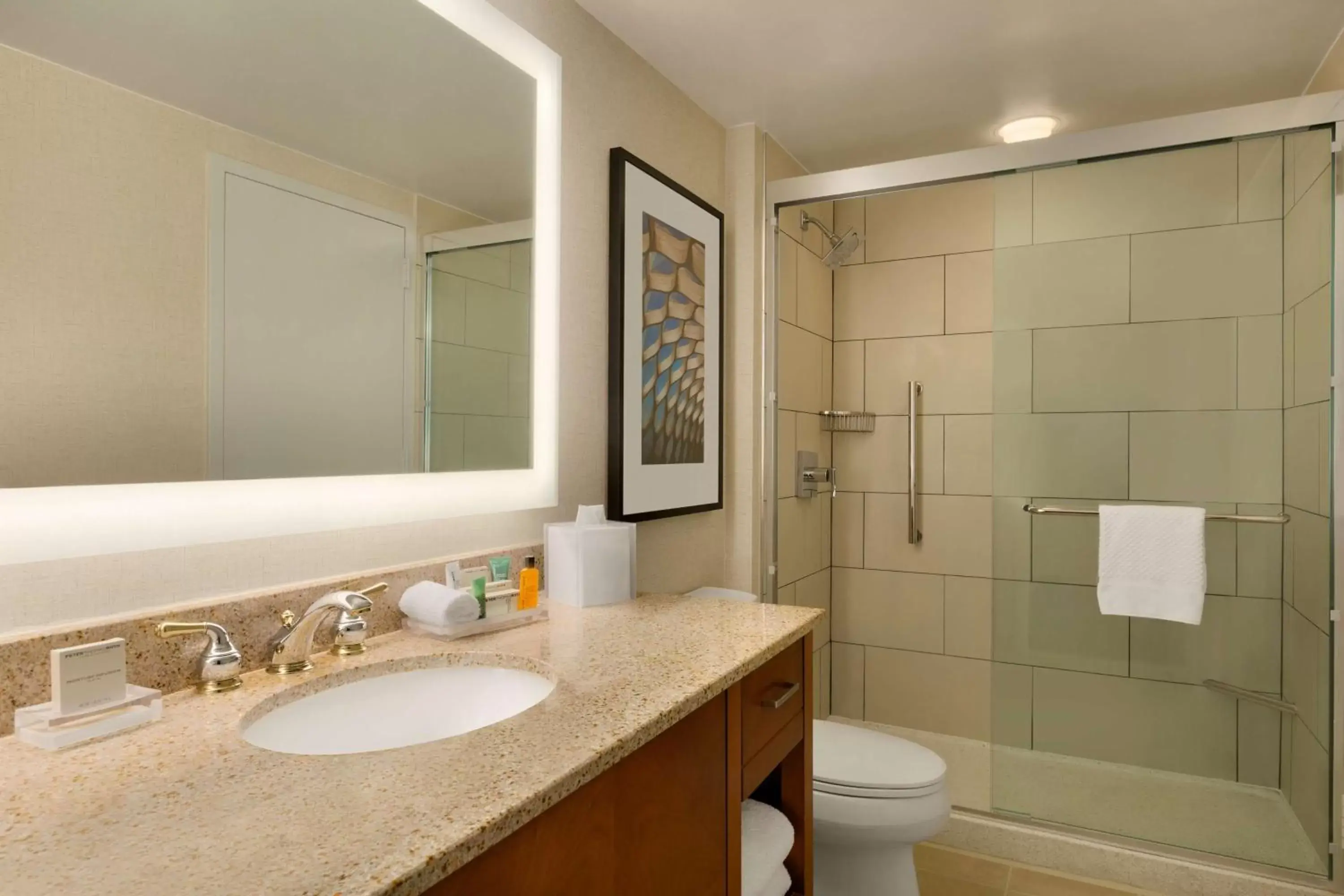 Bathroom in Hilton Chicago Magnificent Mile Suites