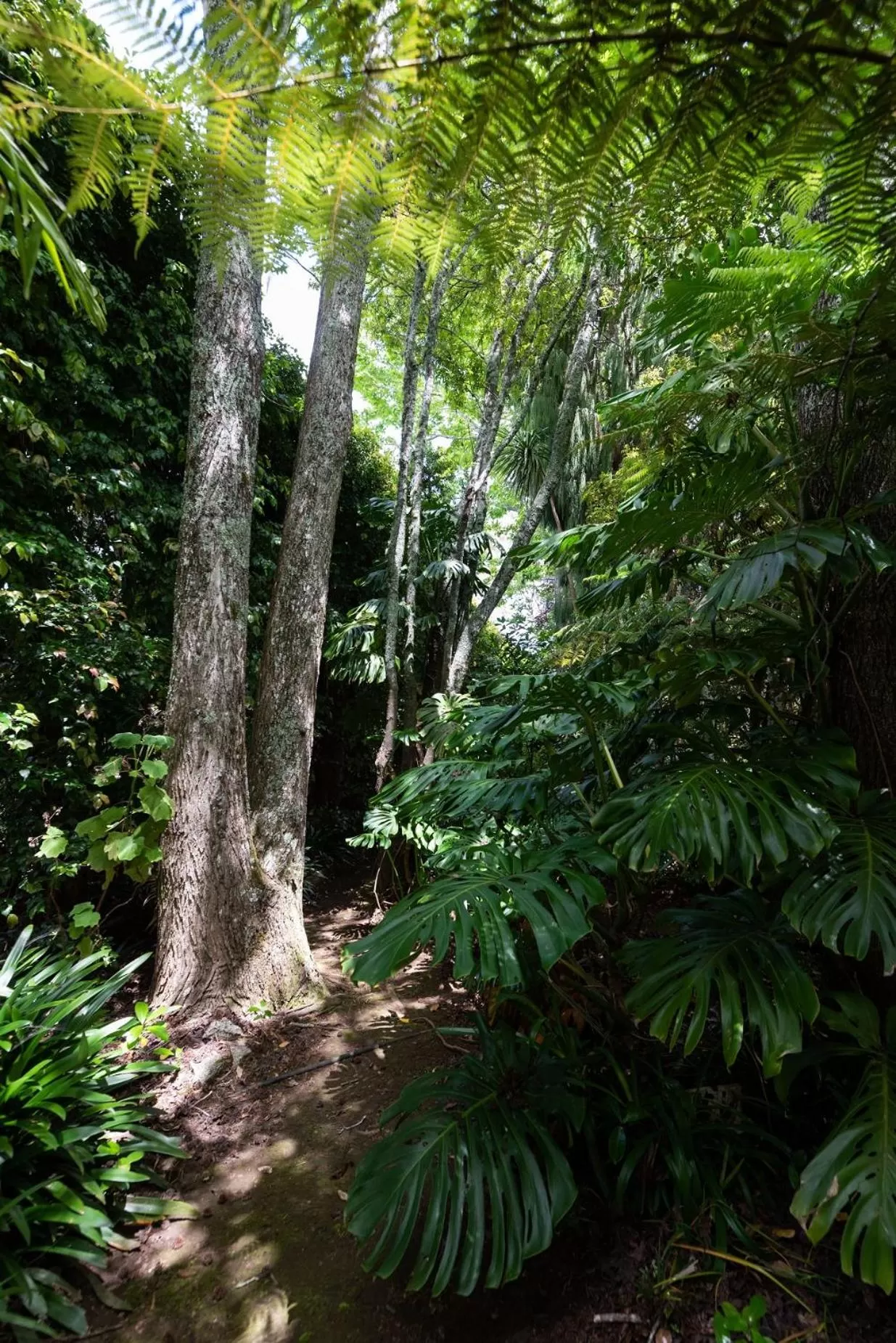 Garden in Pāteke Lodge