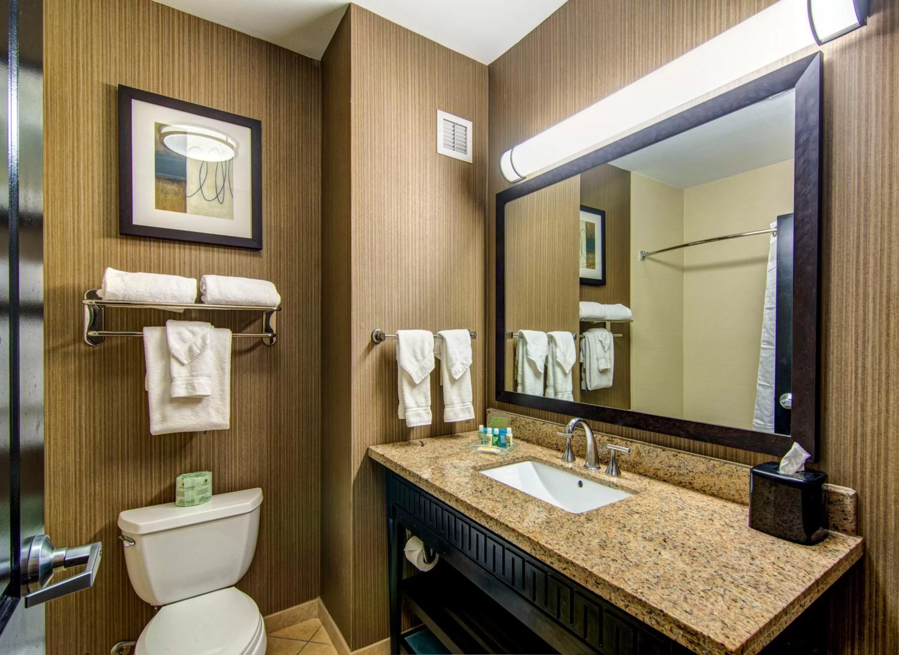 Bathroom in Holiday Inn Arlington Northeast by IHG
