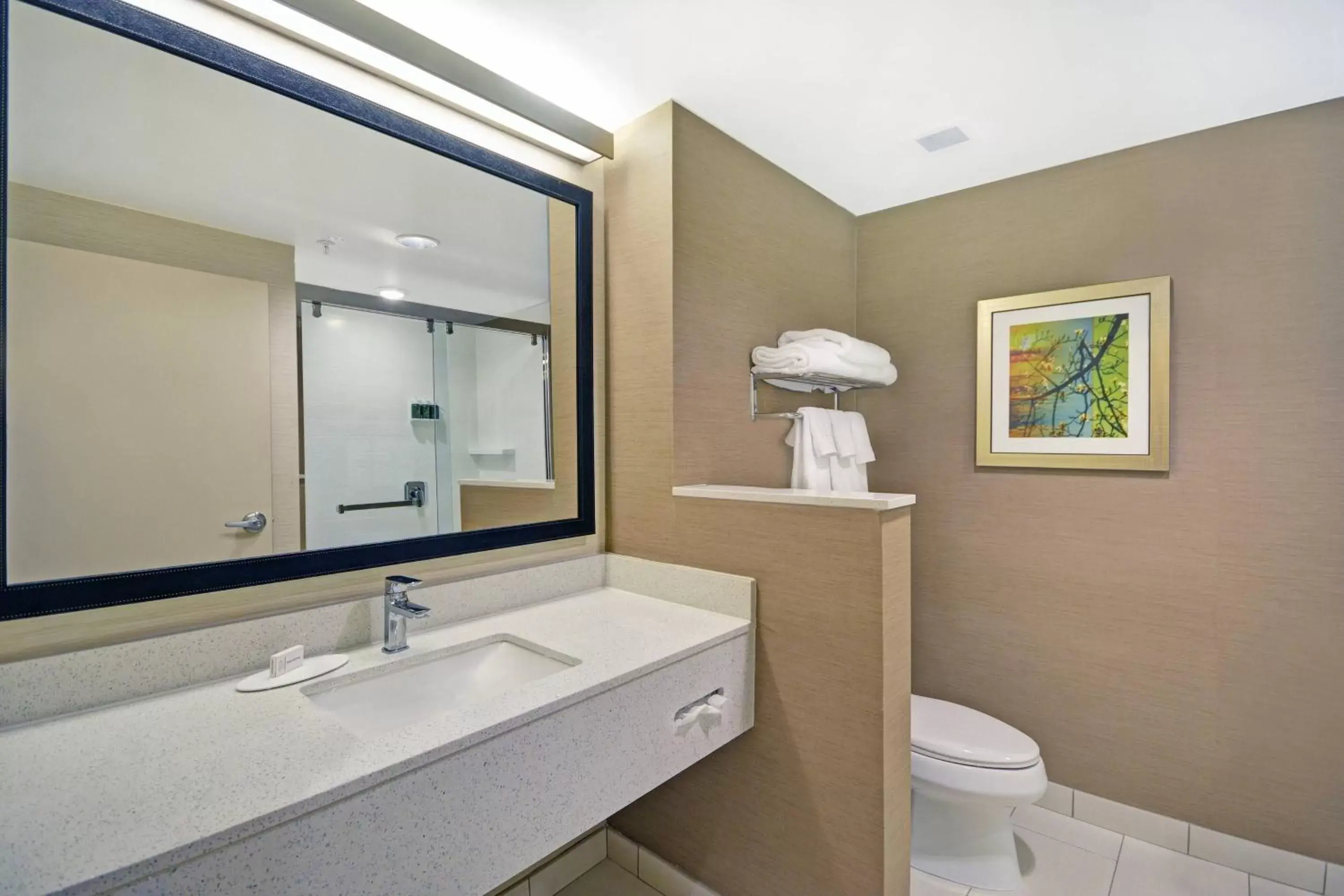 Bathroom in Fairfield Inn & Suites by Marriott Savannah SW/Richmond Hill